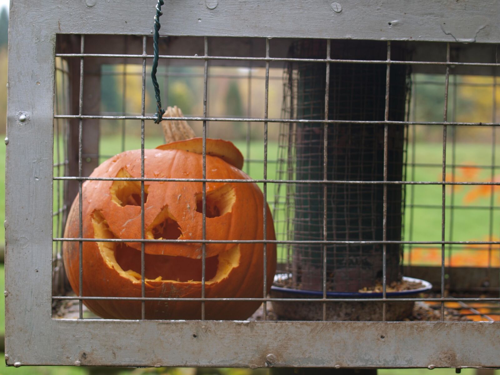 Olympus E-520 (EVOLT E-520) sample photo. Pumpkin, halloween, face photography