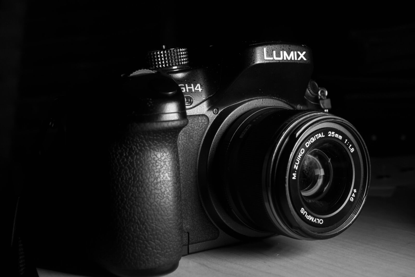 Sony Cyber-shot DSC-RX10 III sample photo. Lumixgh4, dsl camera, digital photography