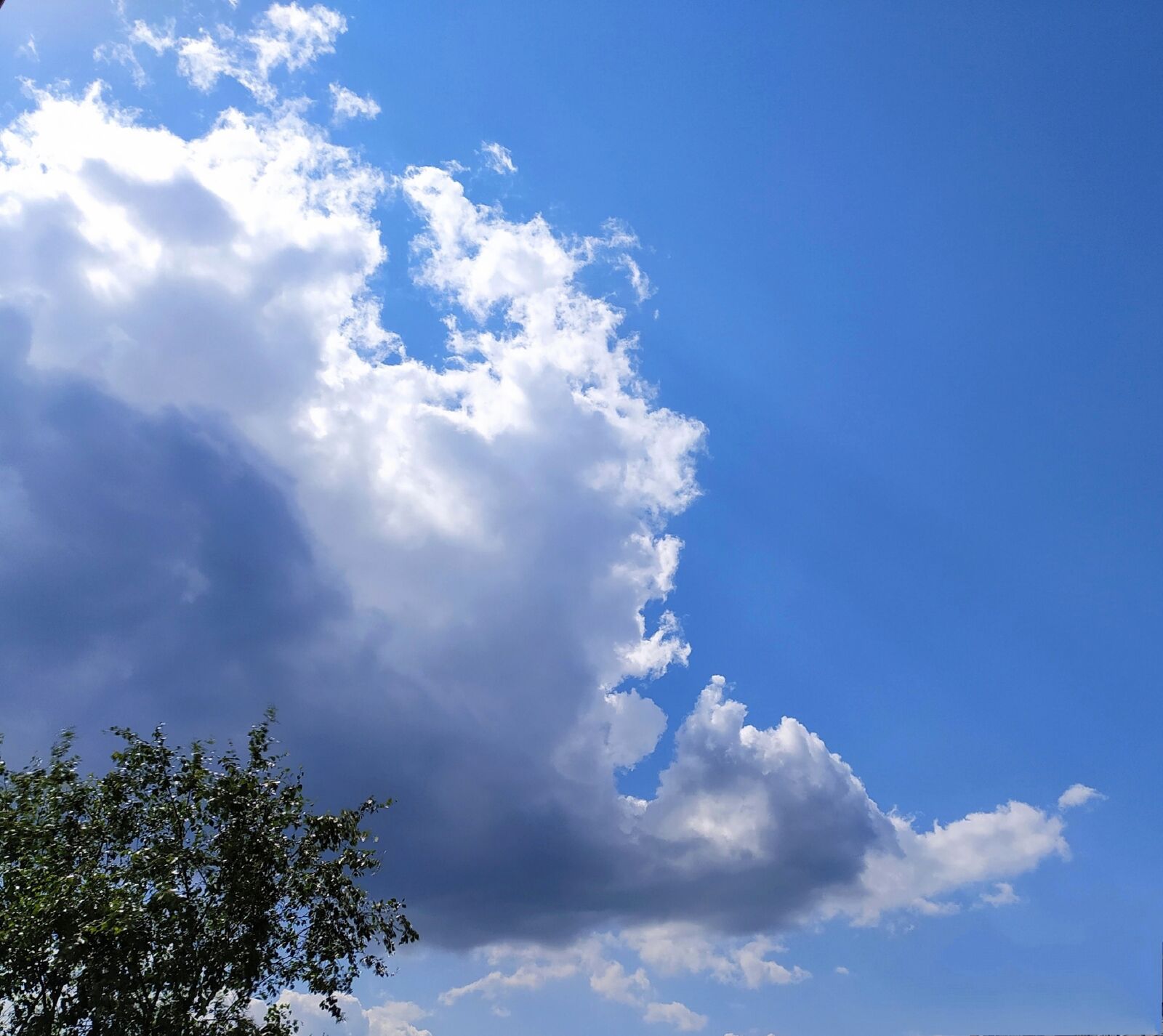 Xiaomi Redmi Note 8T sample photo. Cloud, sky, blue photography