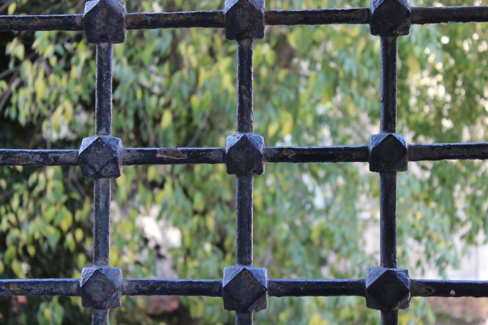 Canon EOS 600D (Rebel EOS T3i / EOS Kiss X5) sample photo. Tree, window, mansion photography