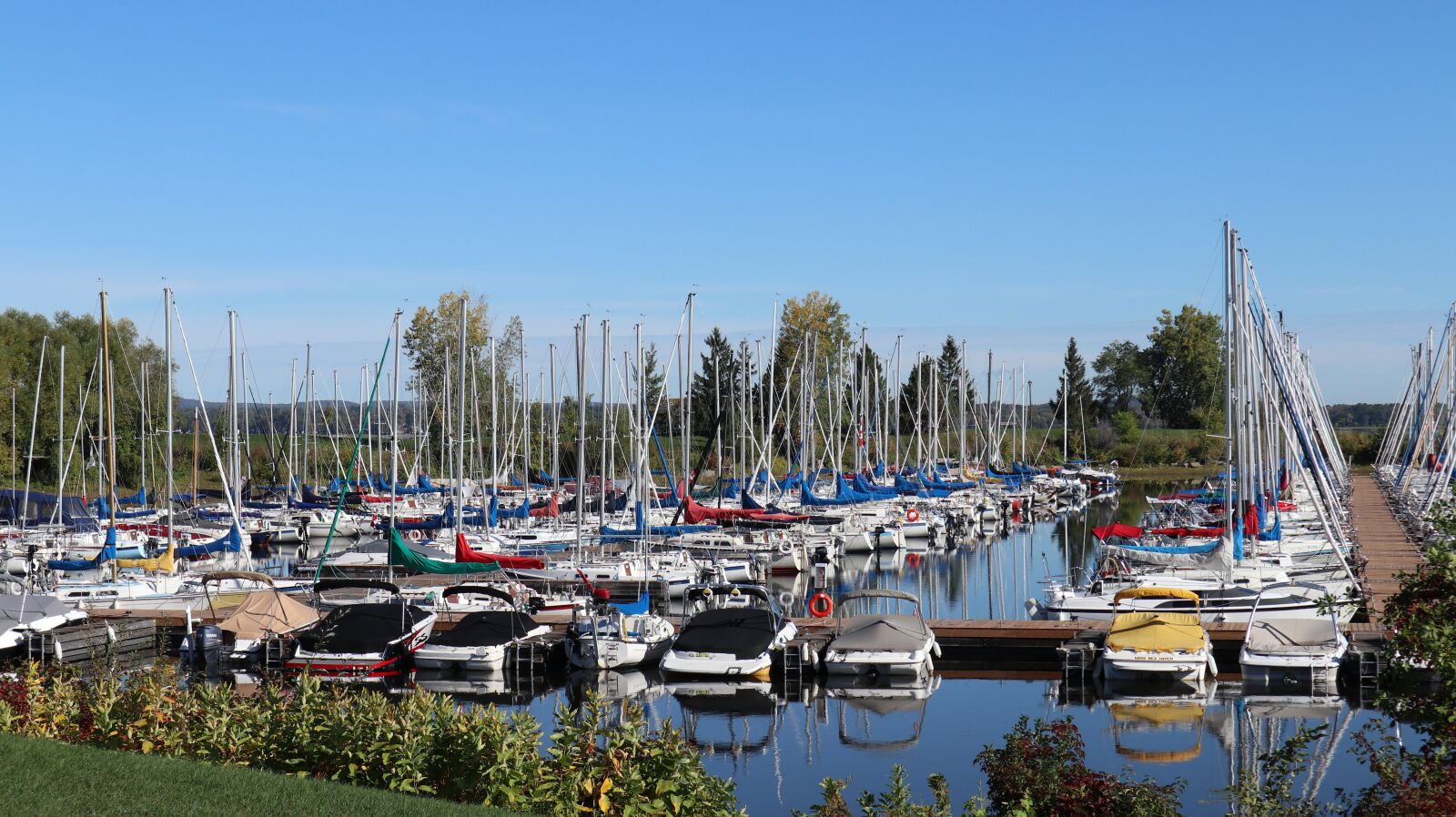 Canon EOS M100 sample photo. Summer-end, marina, park photography