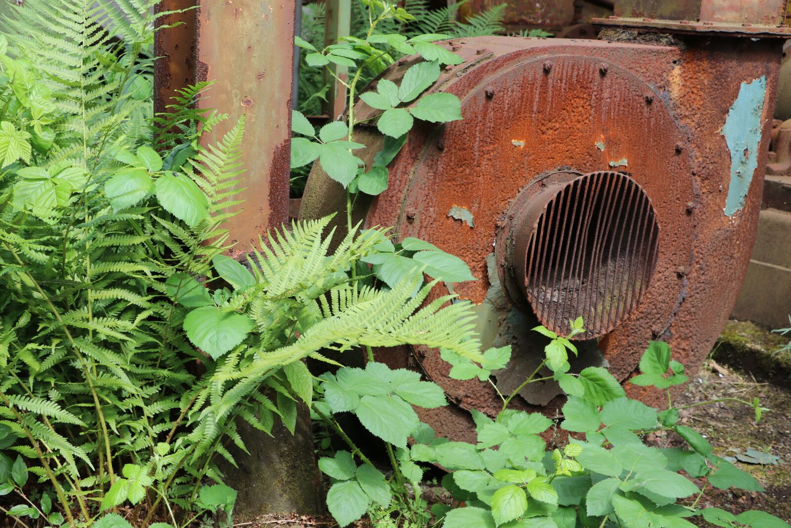Canon EOS 80D sample photo. Lost places, duisburg, old photography