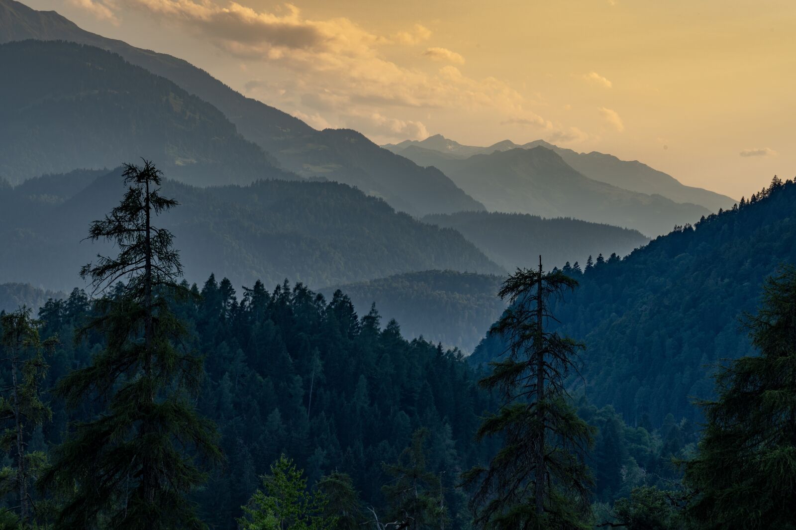 Sony a7R III sample photo. Mountains, trees, nature photography