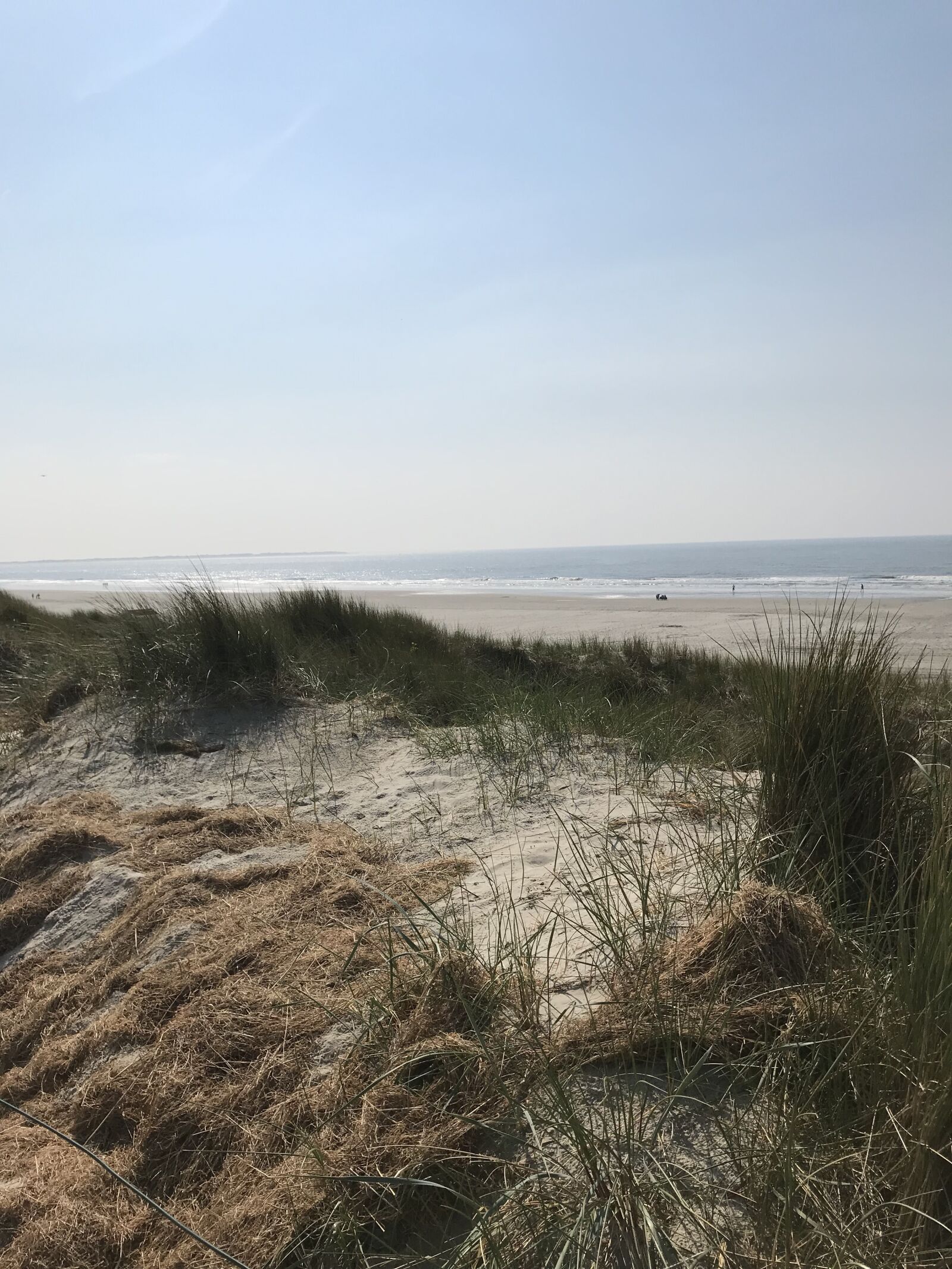 iPhone 7 back camera 3.99mm f/1.8 sample photo. North sea, beach, sea photography