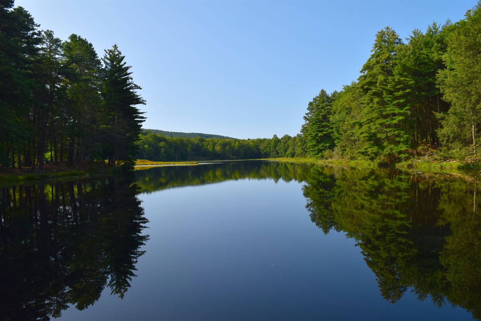 Nikon D3300 sample photo. Lake, sunrise, tree photography