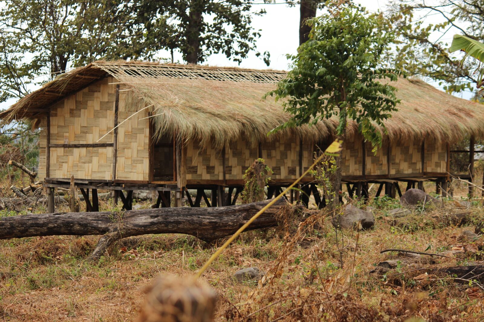 Canon EOS 600D (Rebel EOS T3i / EOS Kiss X5) sample photo. Hut, wood, bamboo photography