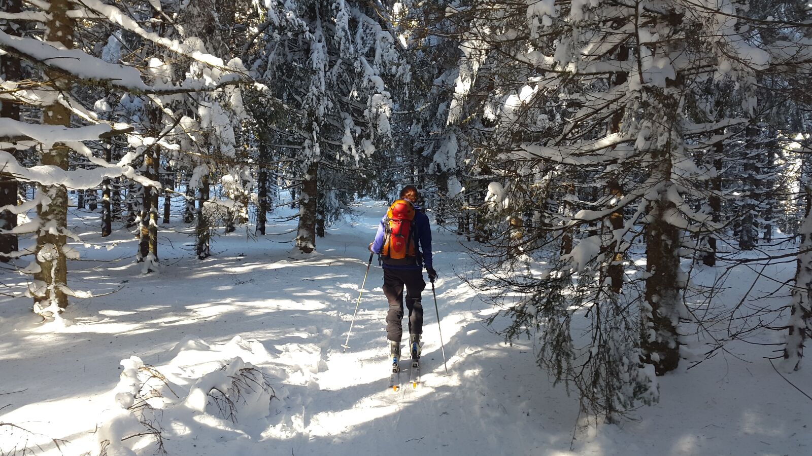Samsung Galaxy Alpha sample photo. Backcountry skiiing, black forest photography