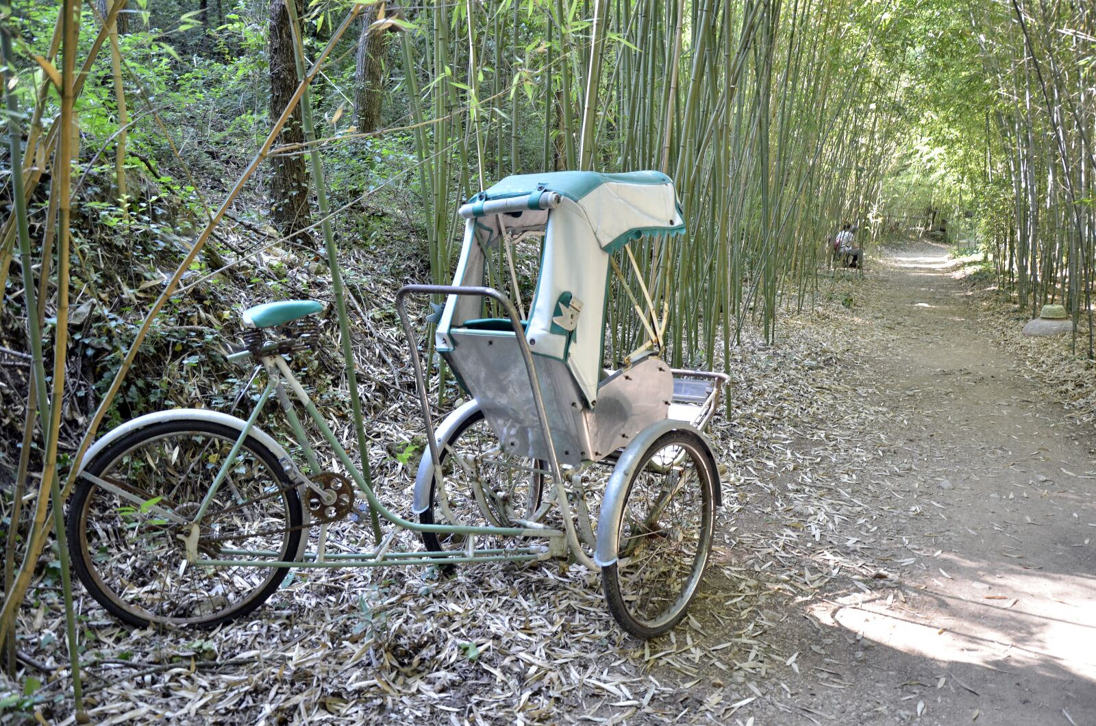 Nikon D7000 sample photo. China, pushes pushes, transport photography