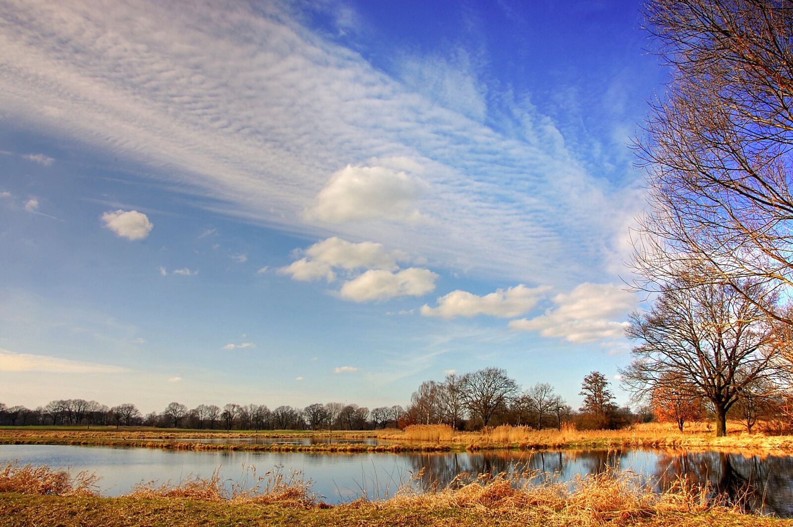 Nikon D40 sample photo. Pond, sky, lake photography