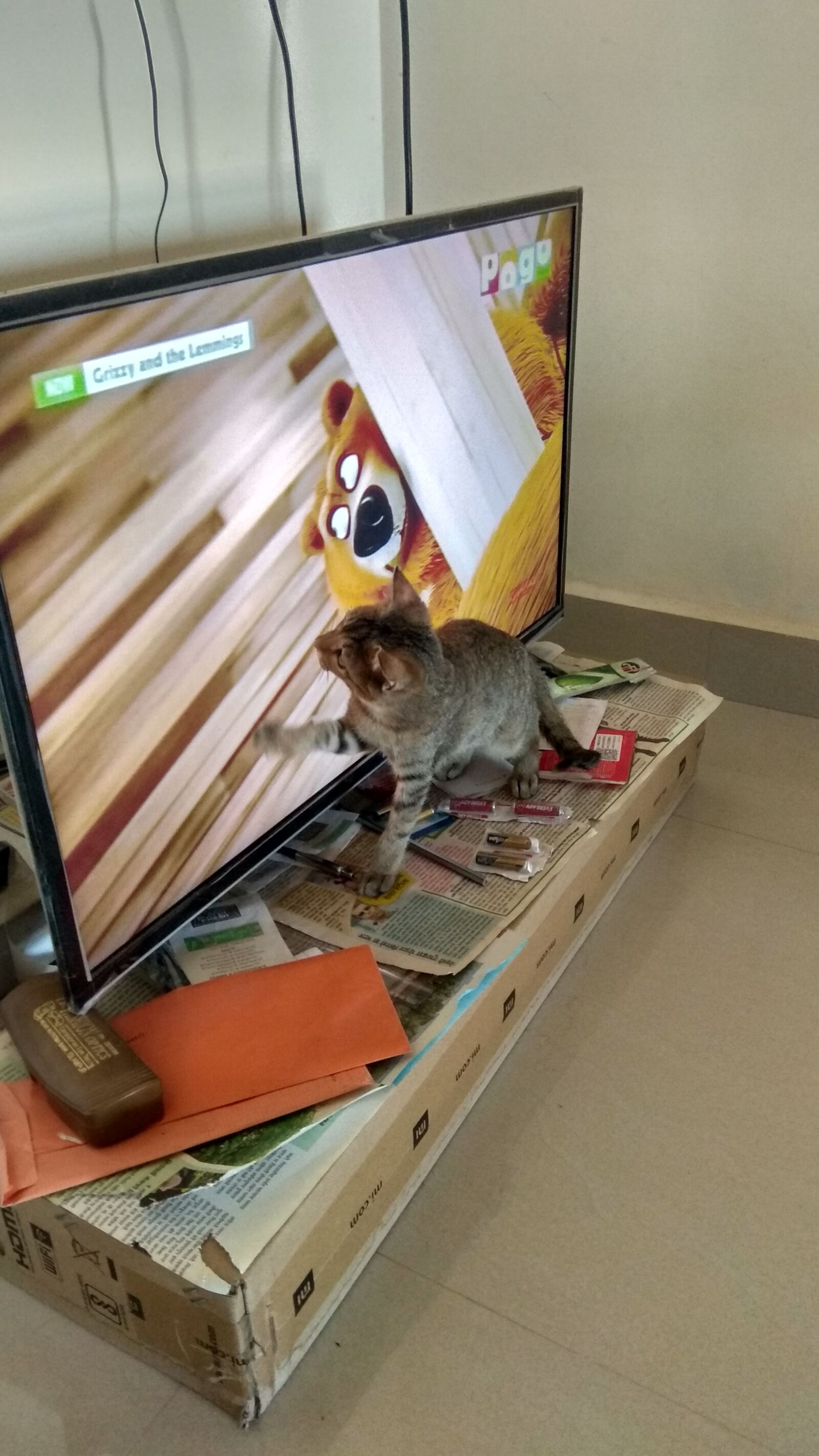 Xiaomi Redmi Note 4 sample photo. Cat, playing, indoor photography