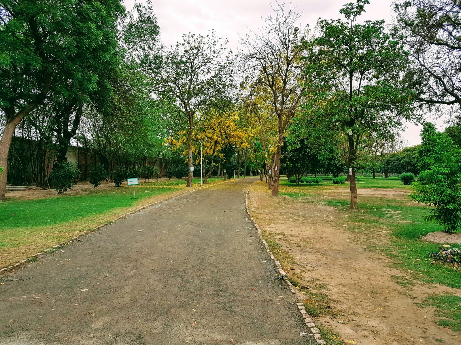 Samsung Galaxy S7 Edge sample photo. Green, park, track photography