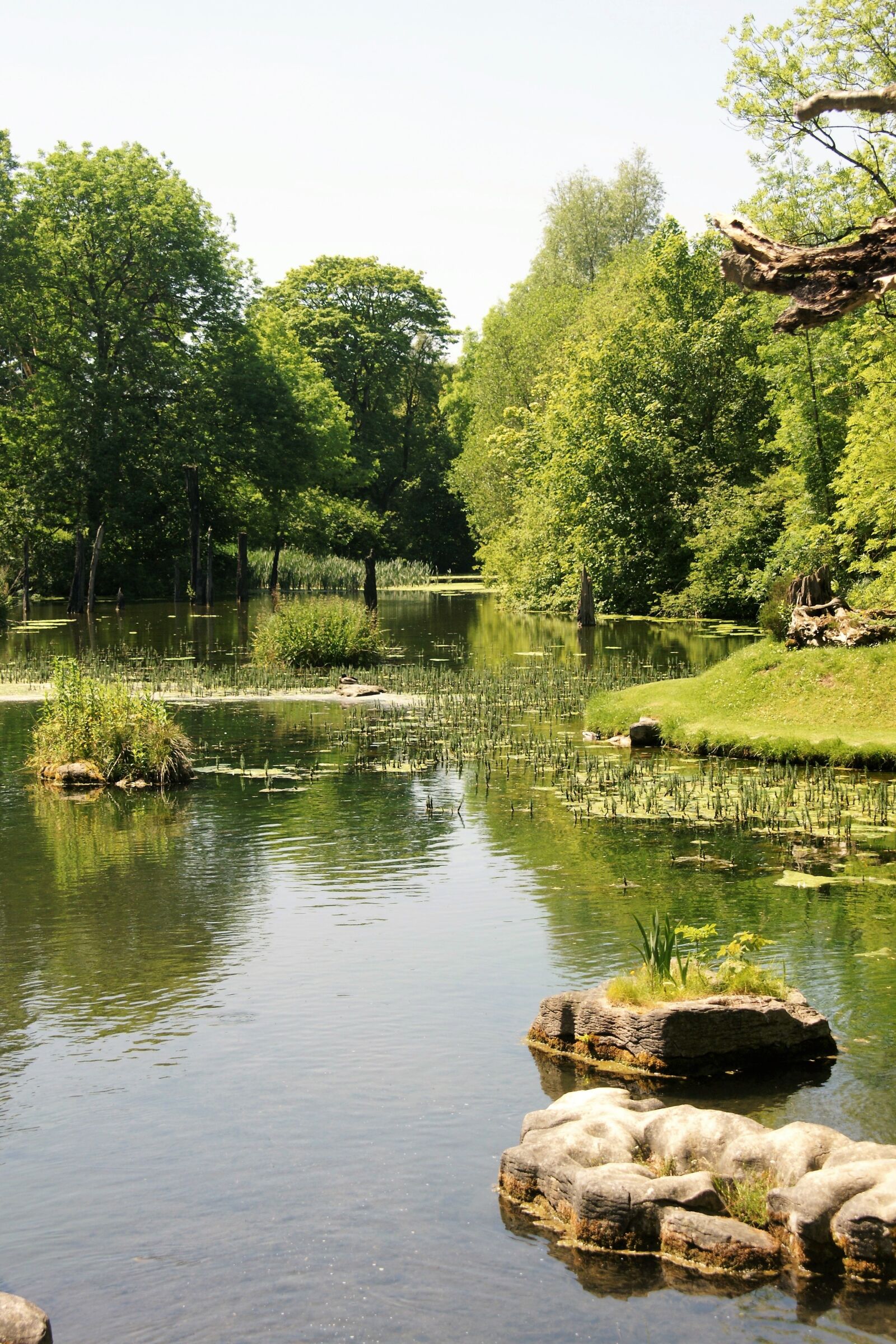 Sony Alpha DSLR-A700 sample photo. Water, waters, bank photography