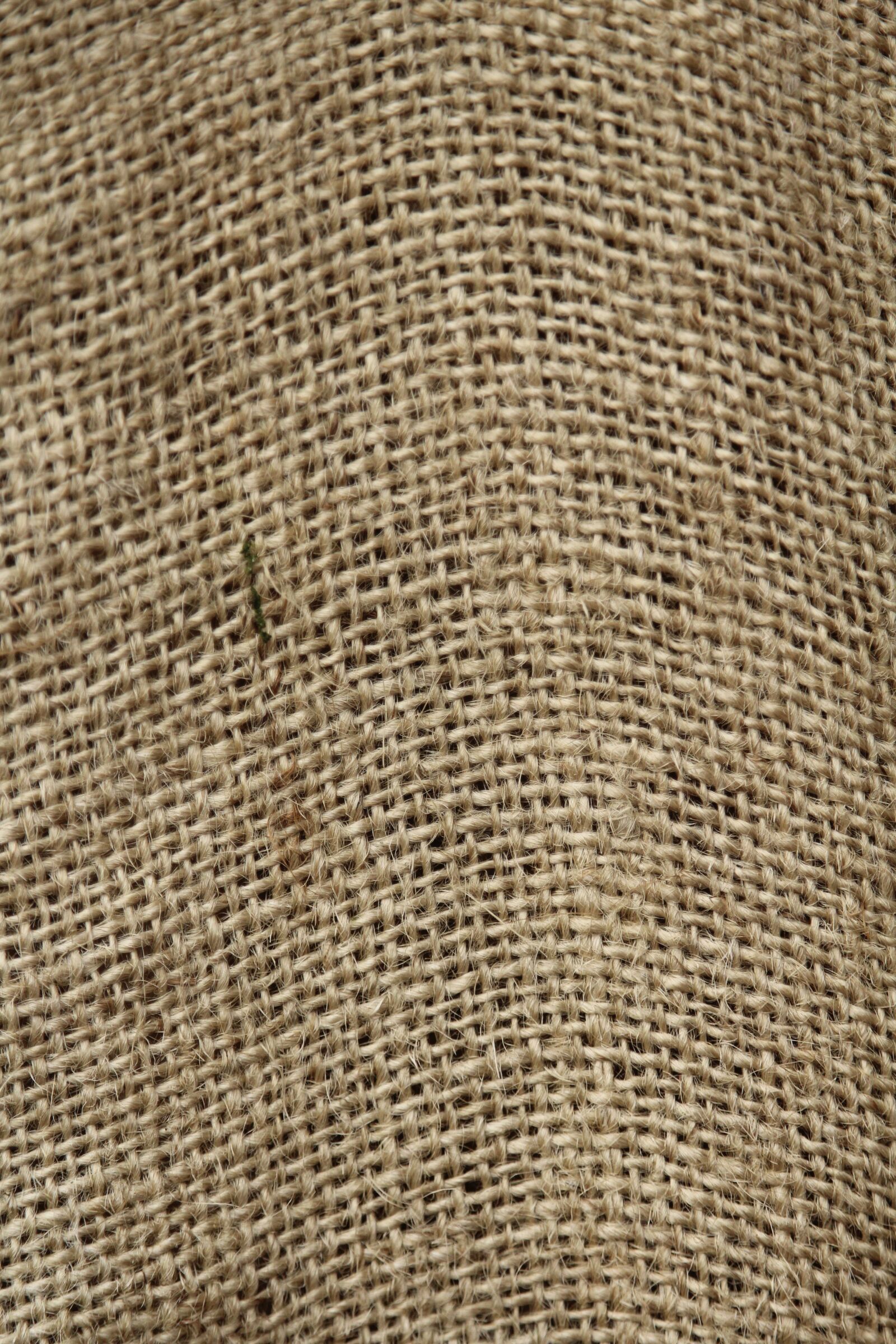 Canon EOS 1200D (EOS Rebel T5 / EOS Kiss X70 / EOS Hi) sample photo. Rau, jute, textiles photography