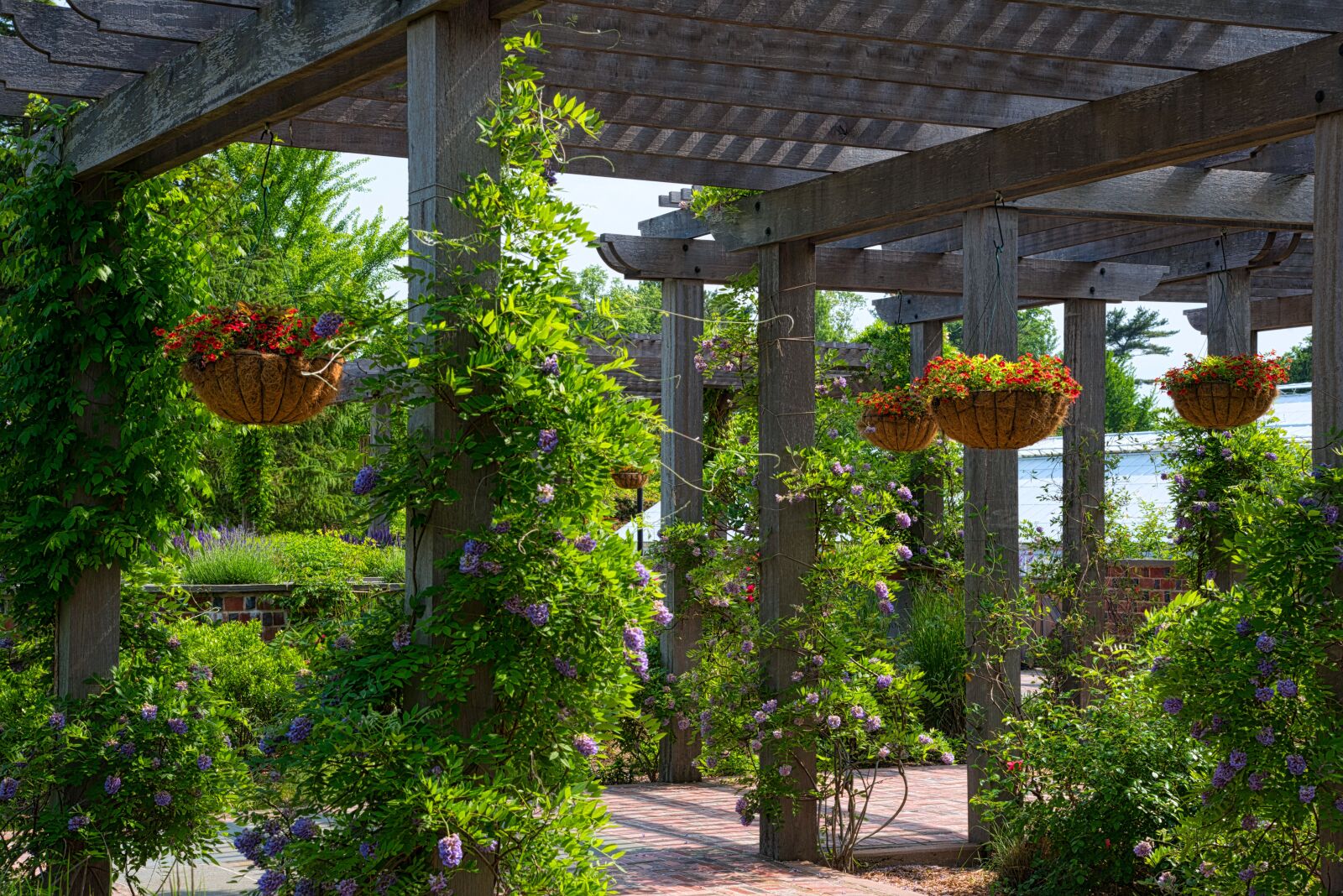 Nikon D750 sample photo. Gazebo, plants, garden photography