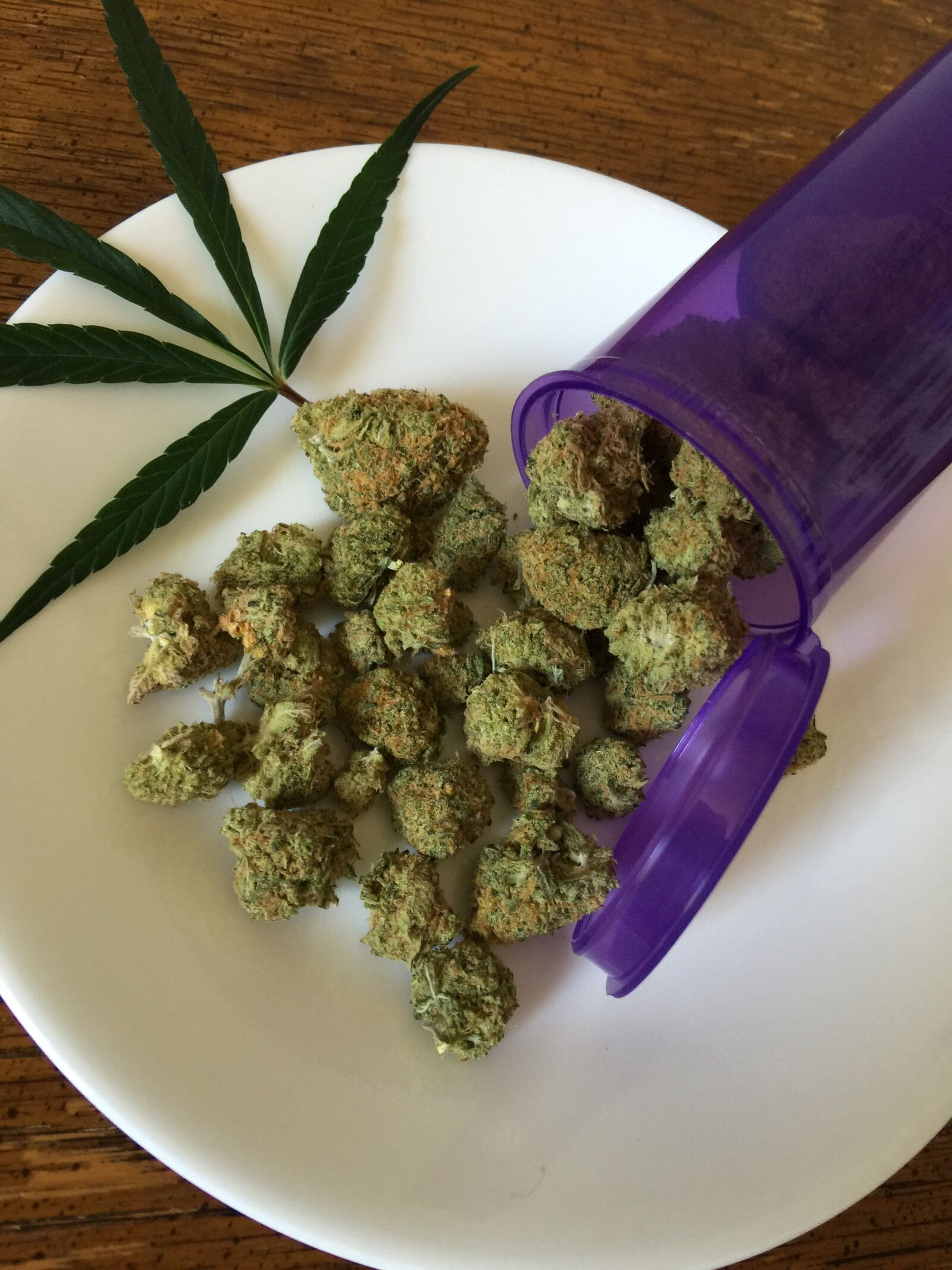 iPhone 6 Plus back camera 4.15mm f/2.2 sample photo. Cannabis, marijuana, weed photography