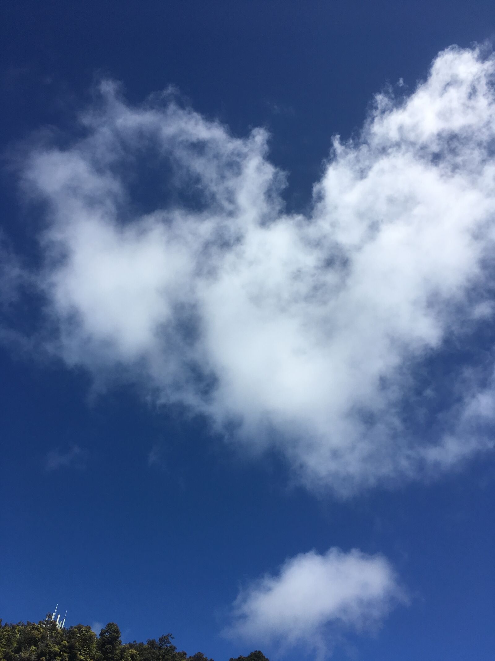 iPhone SE back camera 4.15mm f/2.2 sample photo. Elephant, cloud, sky photography