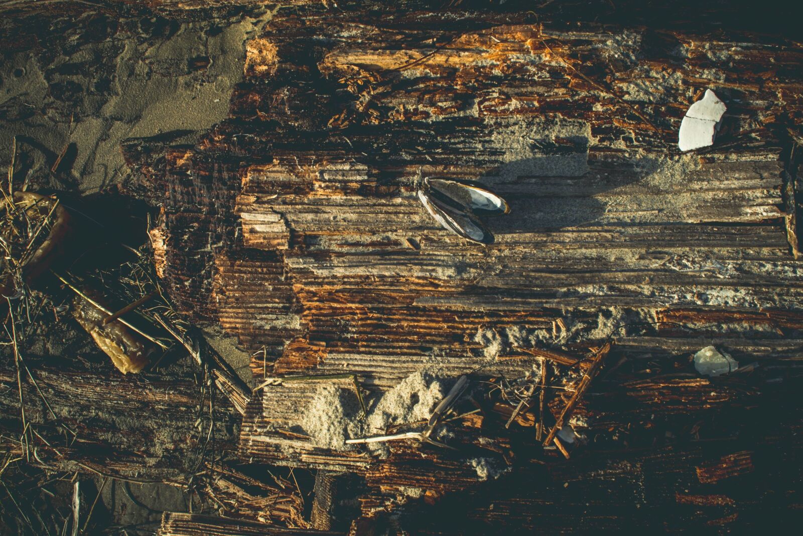 Nikon D5200 sample photo. Wooden plank, old, wood photography
