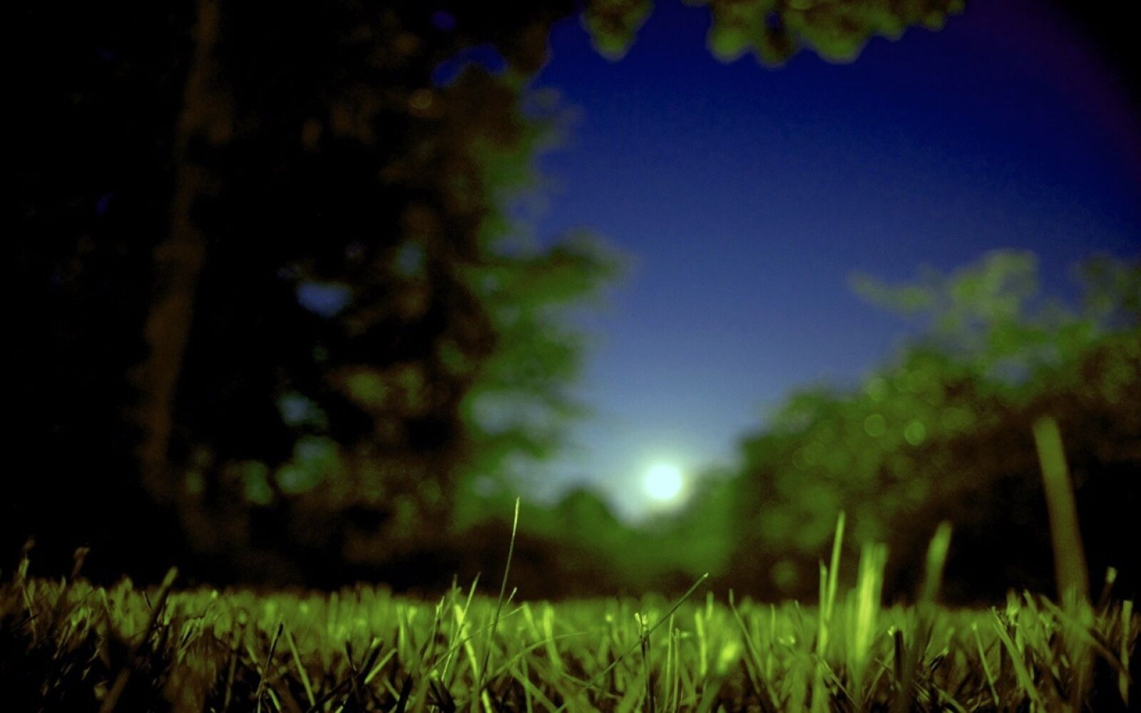 Nikon D50 sample photo. Moon, moonrise, summer photography