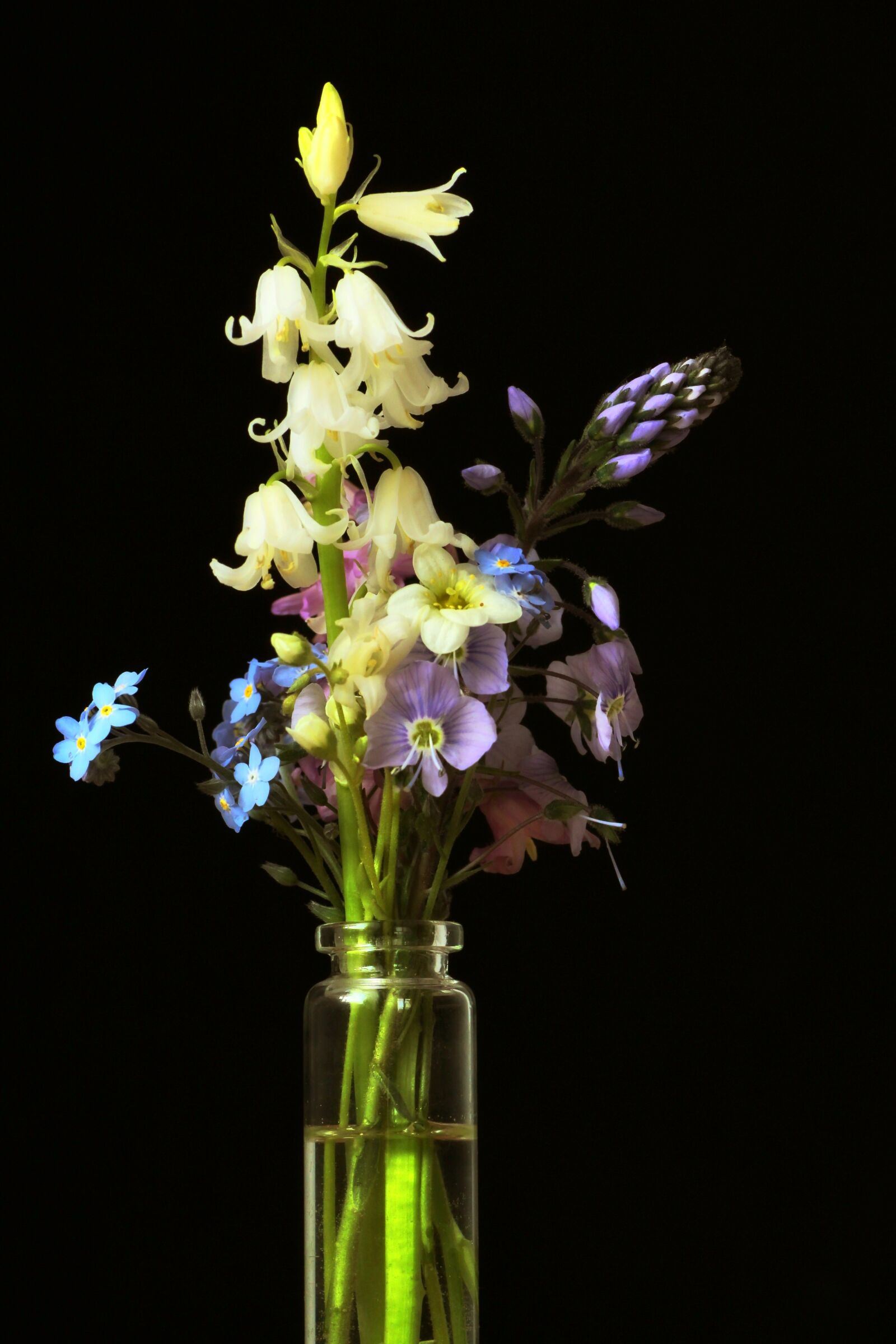 Tamron SP 90mm F2.8 Di VC USD 1:1 Macro sample photo. Spring bouquet, spring flowers photography