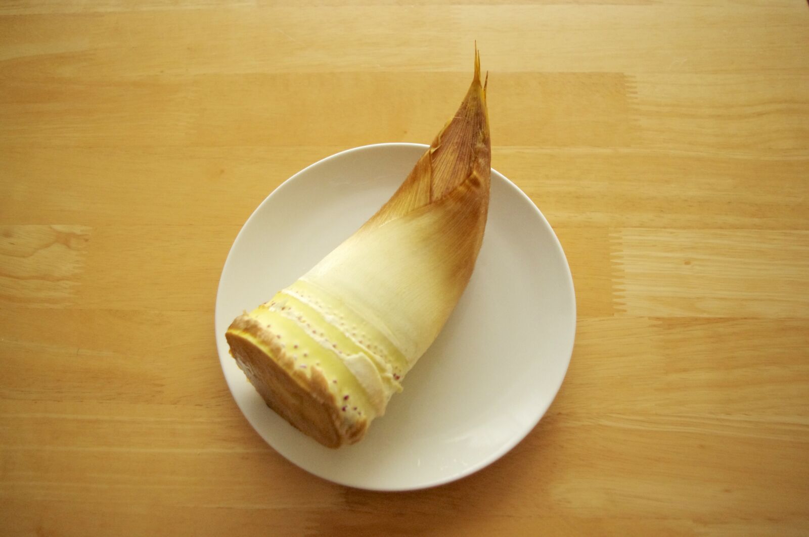 Pentax K-r sample photo. Bamboo shoot, sprout, food photography