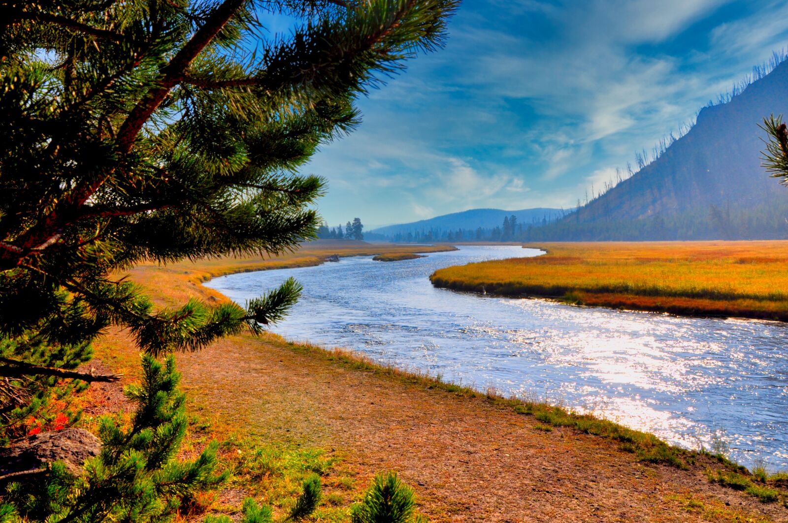 Nikon D5000 sample photo. Wyoming, yellowstone, nature photography