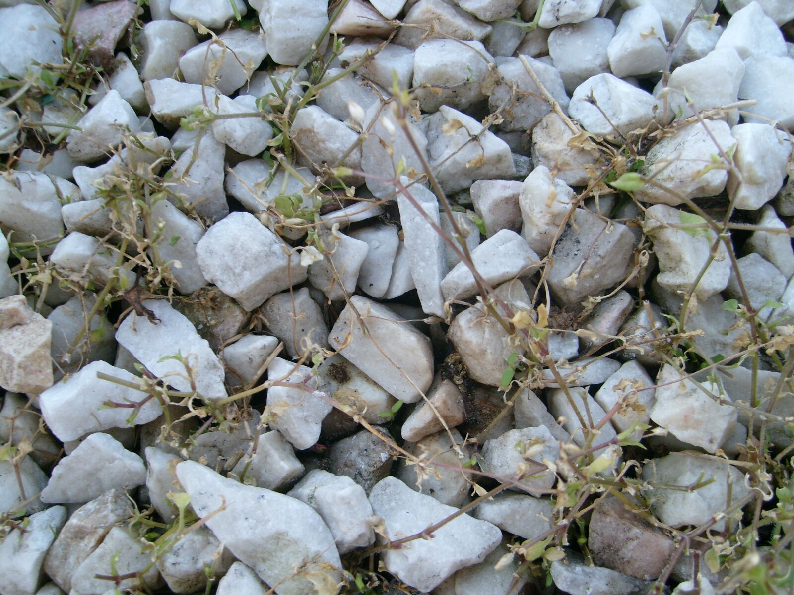 Samsung KENOX S730  / Samsung S730 sample photo. Stones, road, ground photography