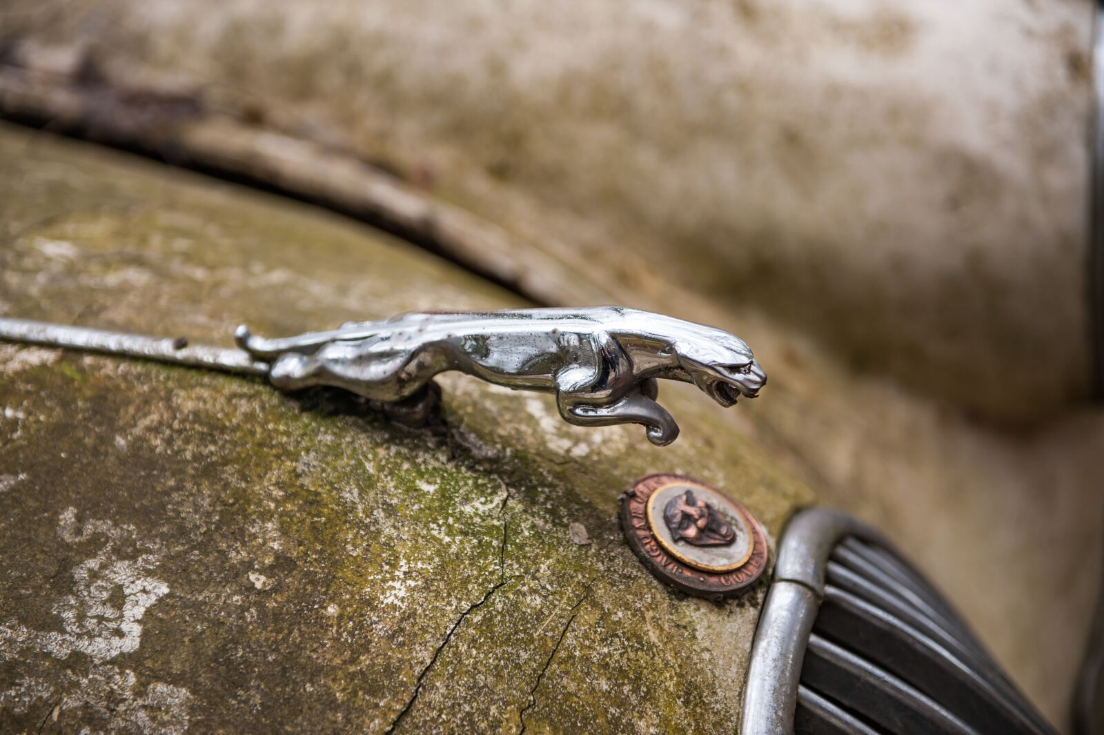 Nikon D700 sample photo. Jaguar, classic car, oldtimer photography