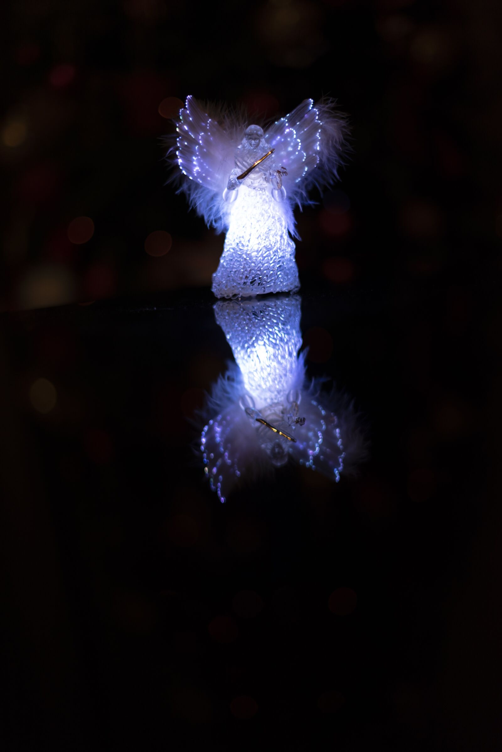 Nikon D750 sample photo. Christmas, lights, holiday photography
