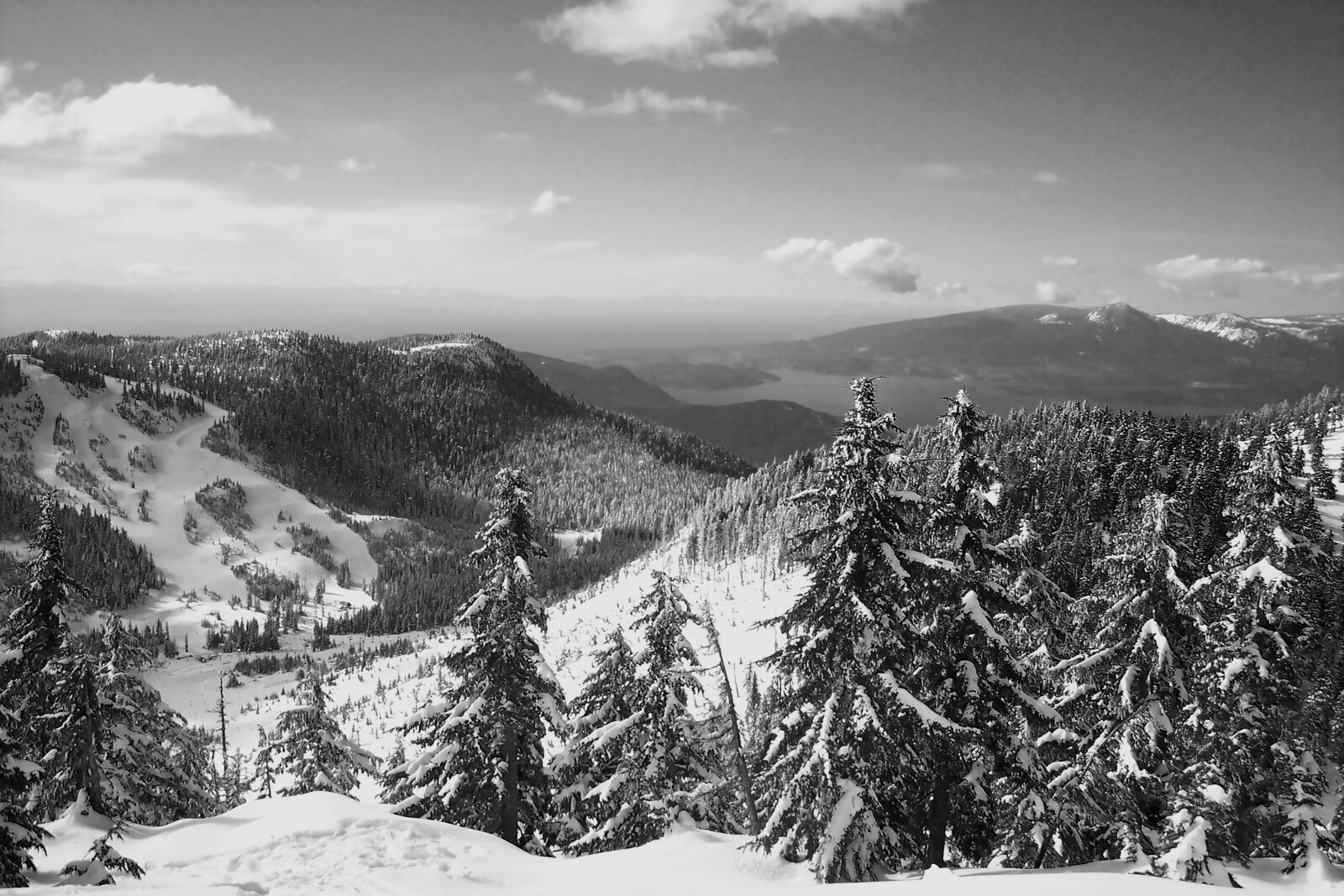Kodak DX7630 ZOOM DIGITAL CAMERA sample photo. Snow, bw, vancouver photography