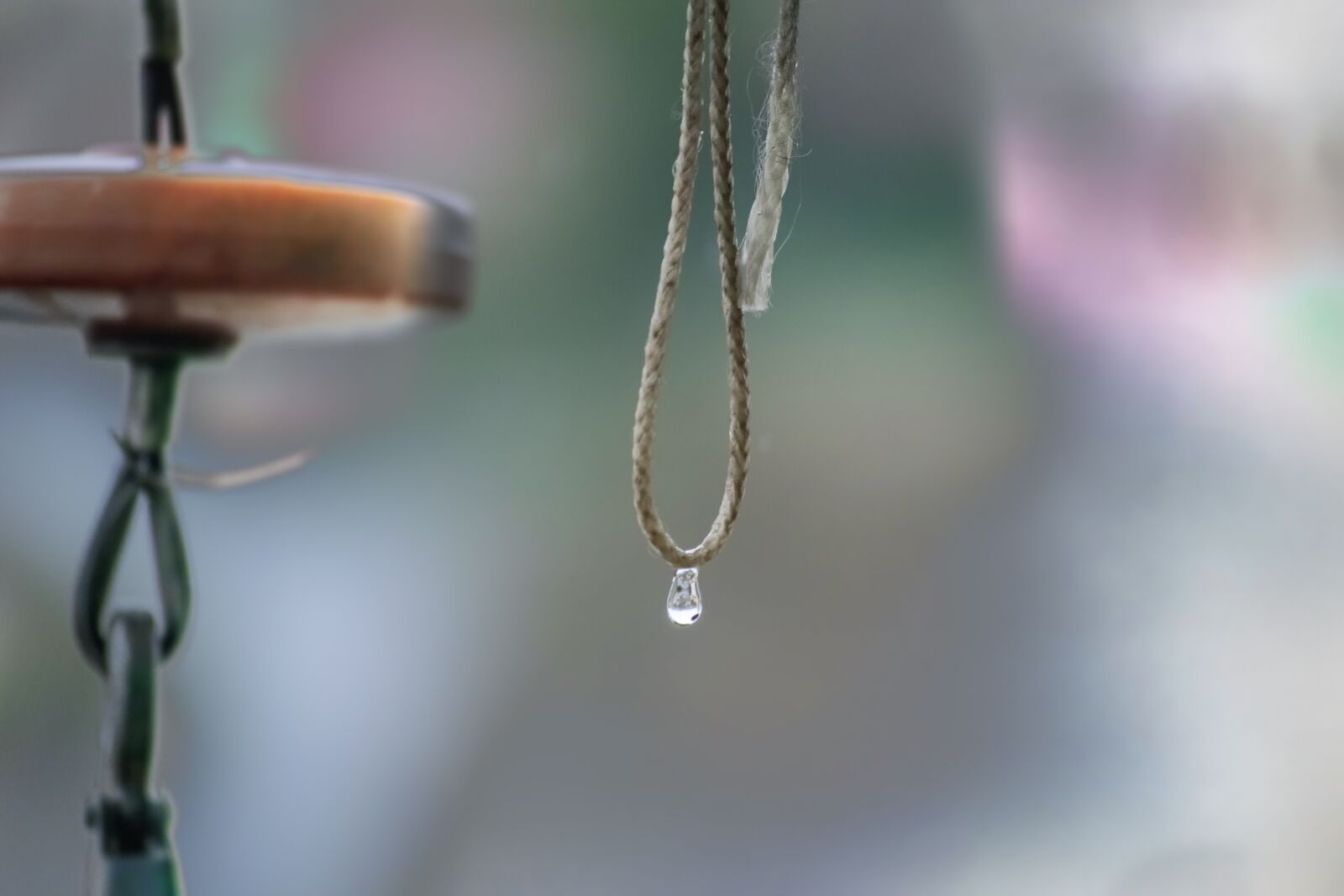 Nikon D3300 sample photo. Rope, drop, water photography