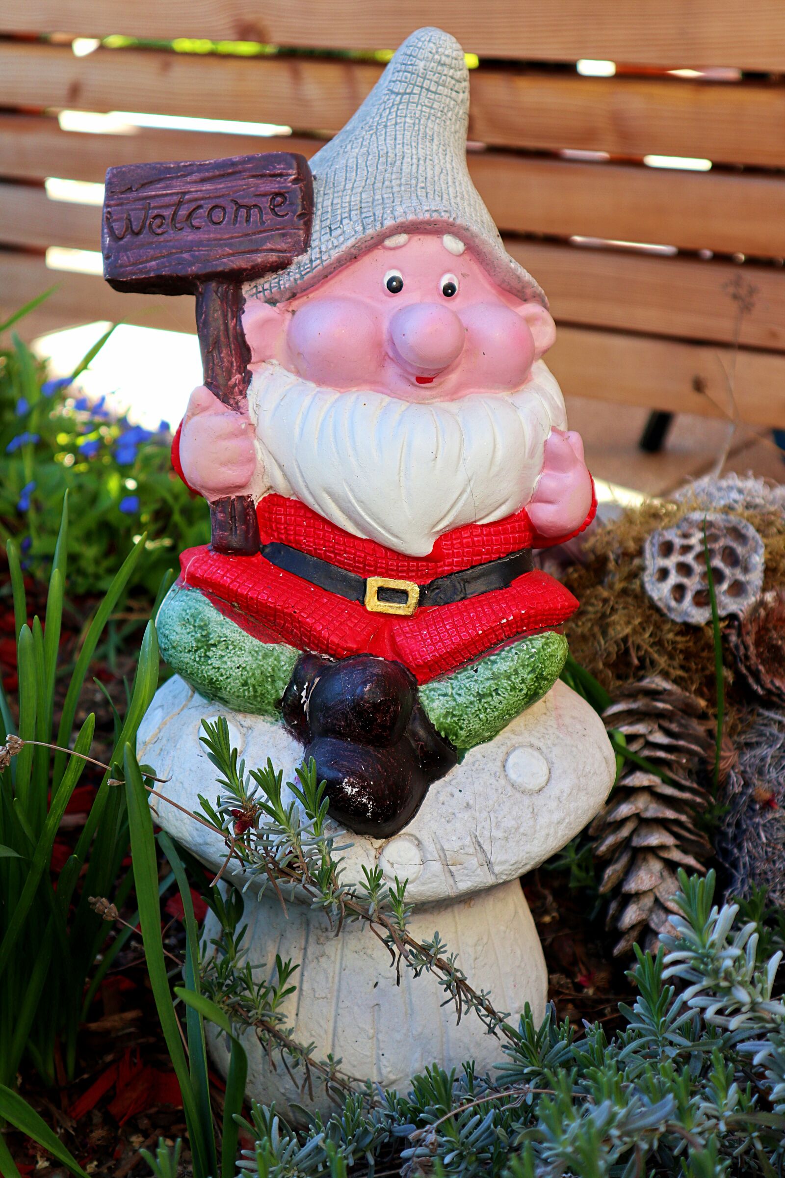 Canon EOS M100 sample photo. Garden gnome, garden, welcome photography