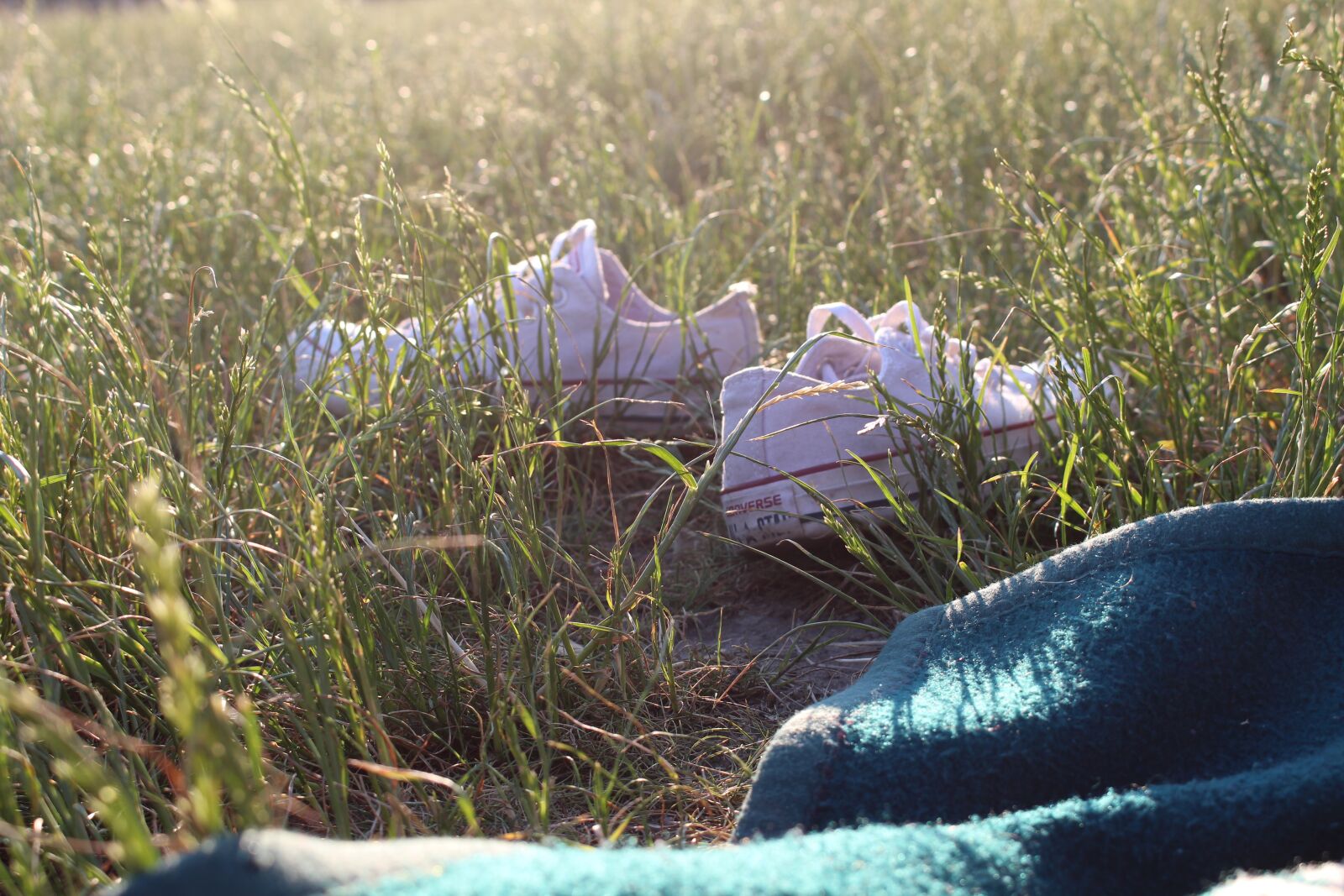 Canon EOS 700D (EOS Rebel T5i / EOS Kiss X7i) sample photo. Shoes, grass, day photography
