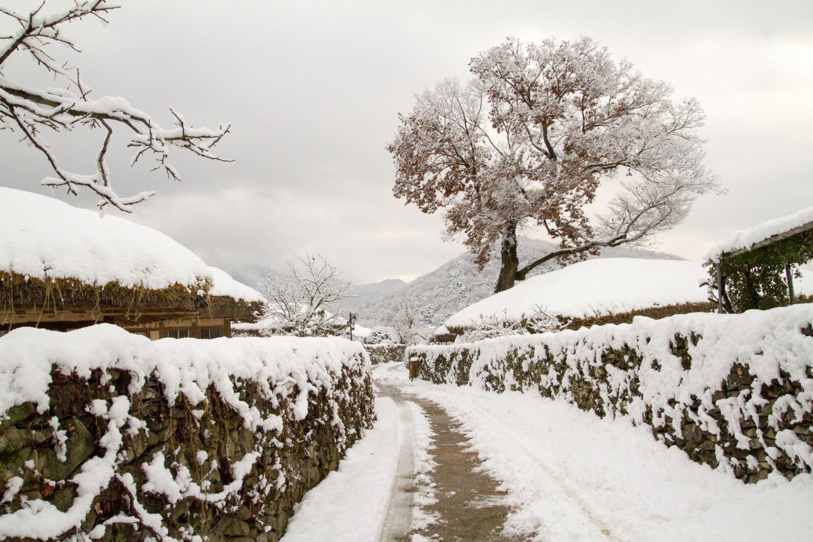 Canon EOS 7D sample photo. Snow, winter, winter landscapes photography