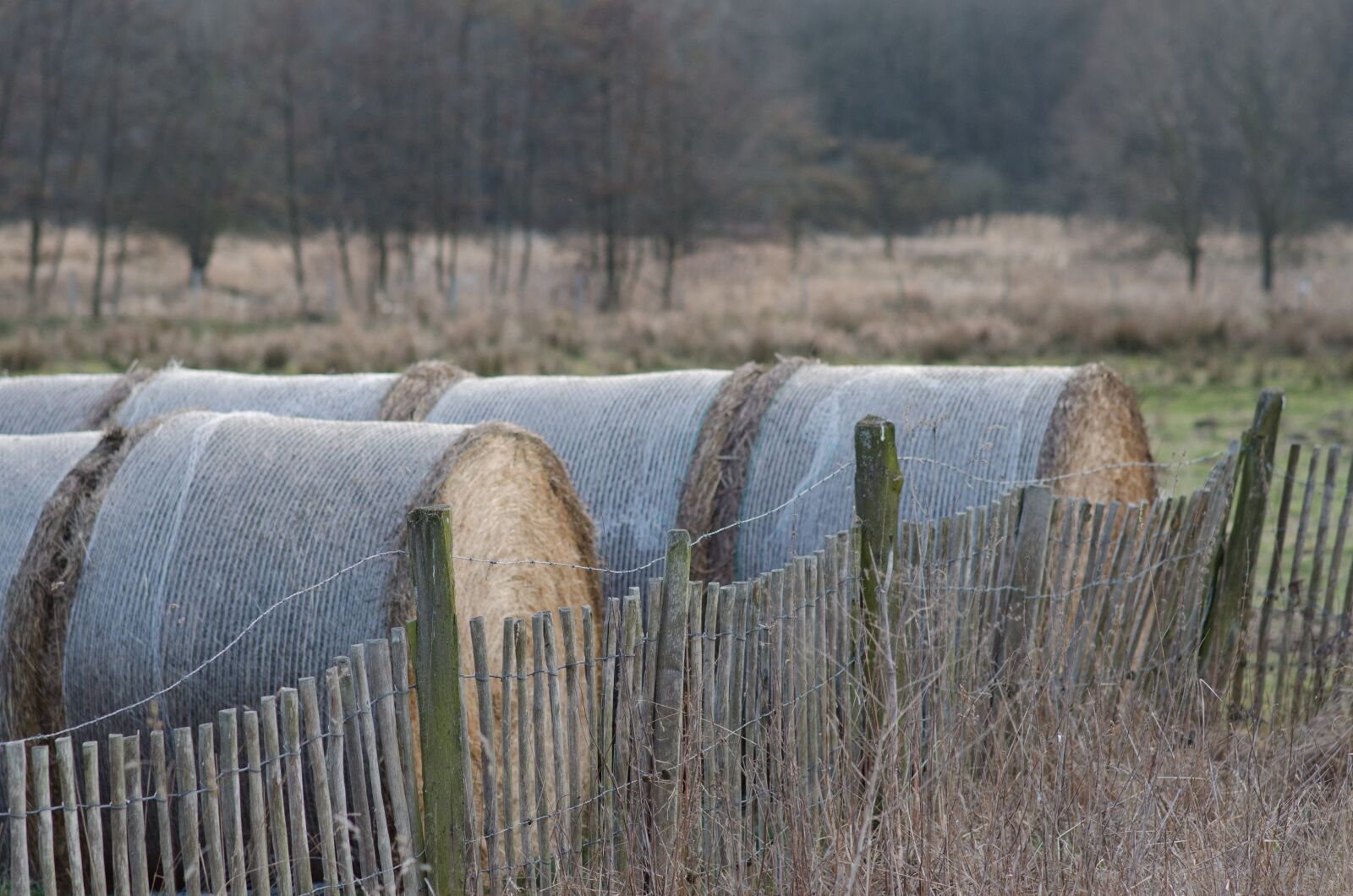 Nikon D5100 sample photo. Straw, bale, village photography