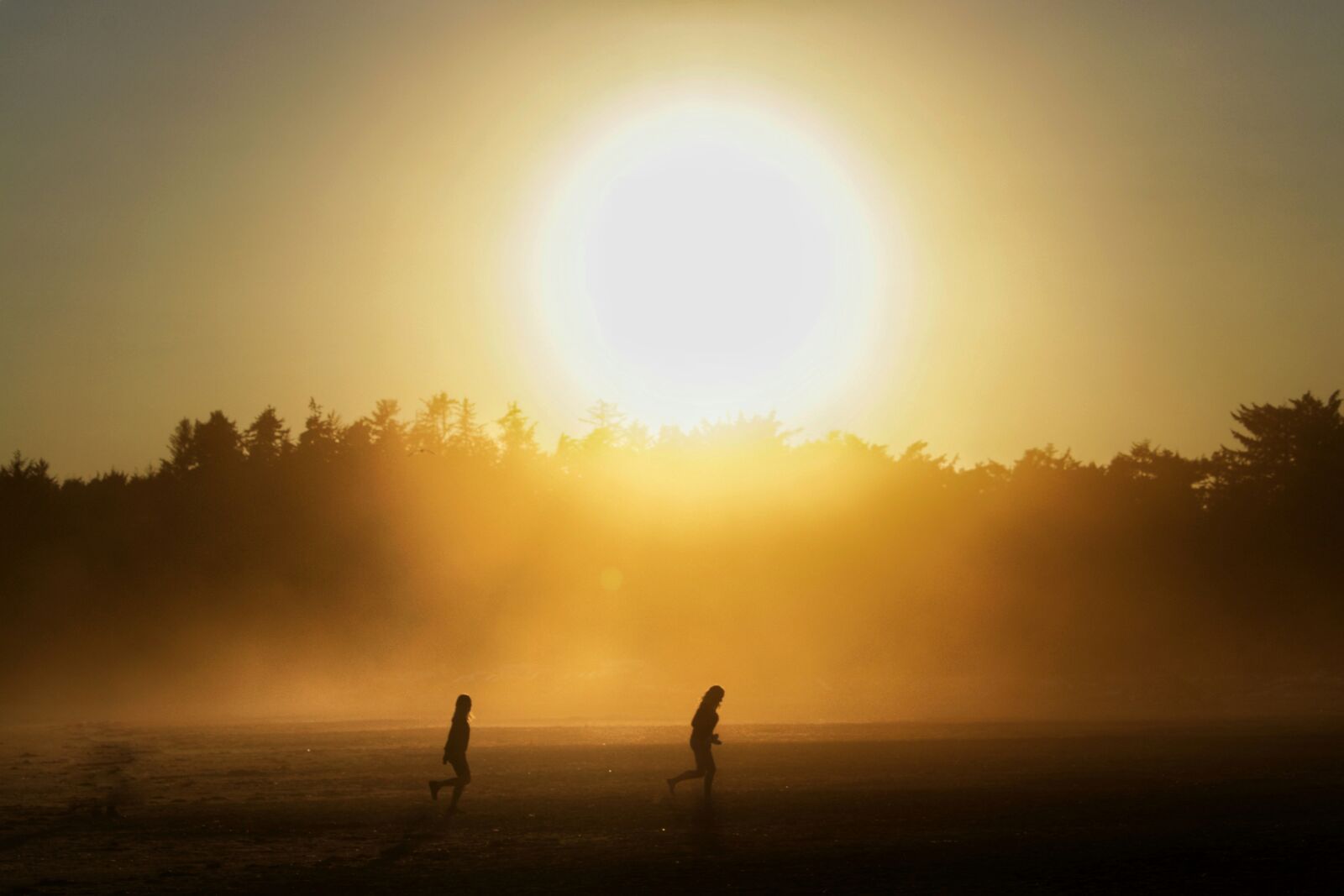 Canon EF-S 55-250mm F4-5.6 IS STM sample photo. Sun, beach, backlighting photography