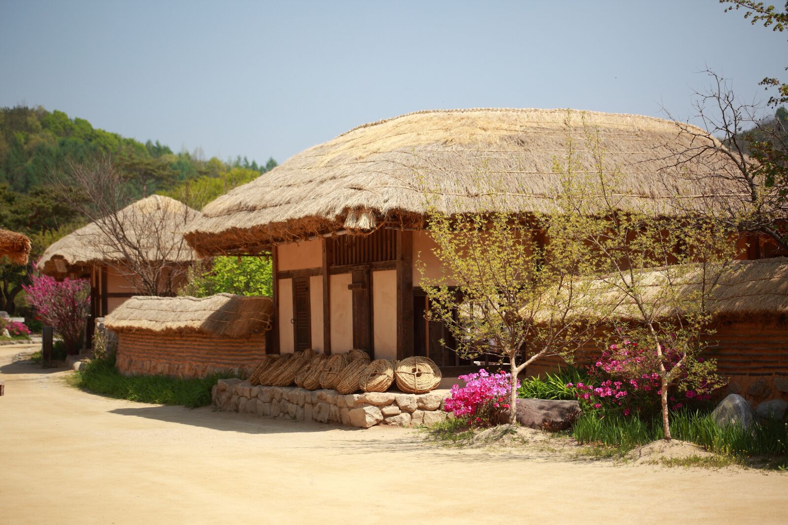 Canon EOS 5D Mark II sample photo. Republic of korea, traditional photography