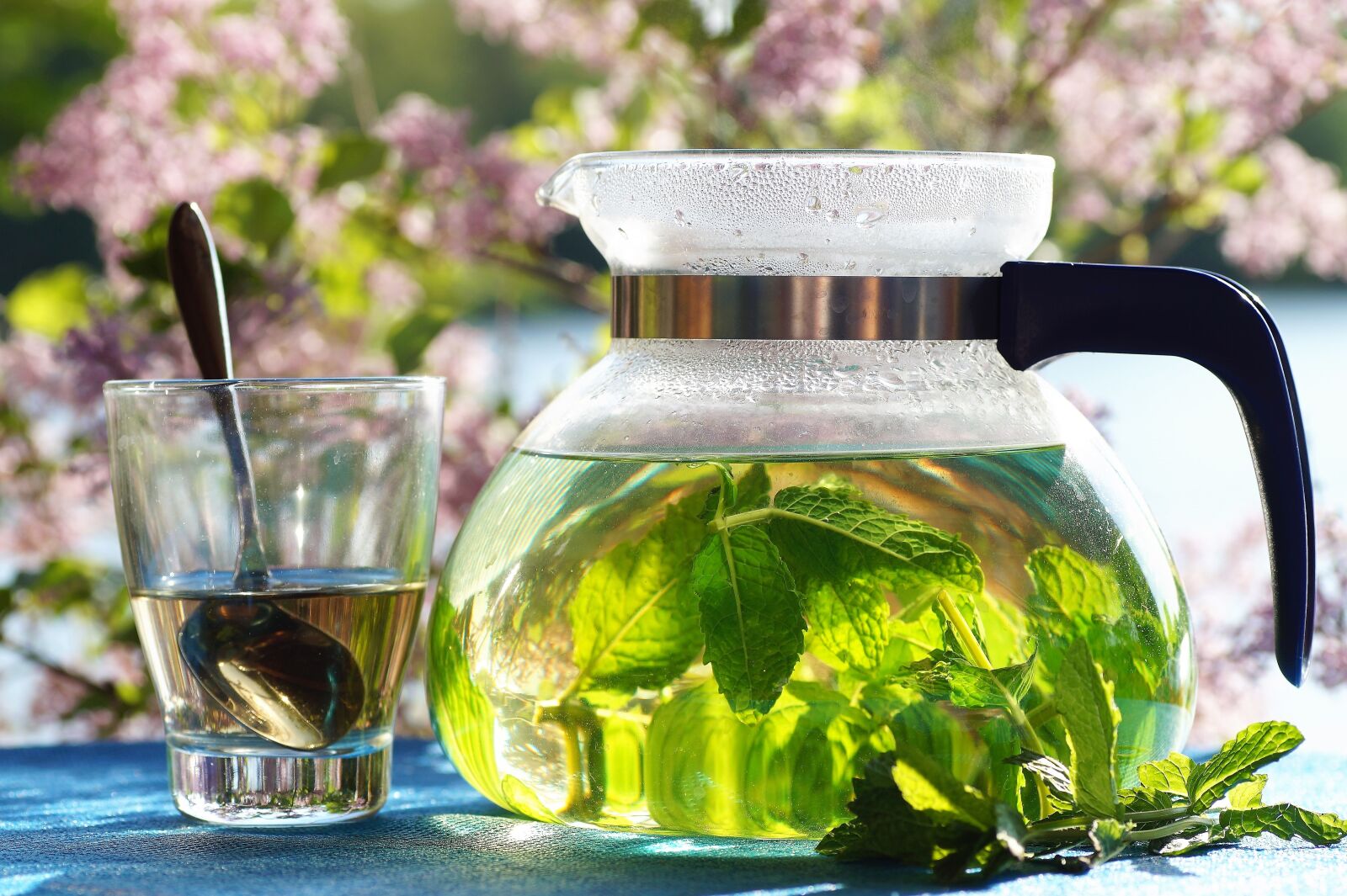 Sony SLT-A58 sample photo. Fresh, mint, tea photography