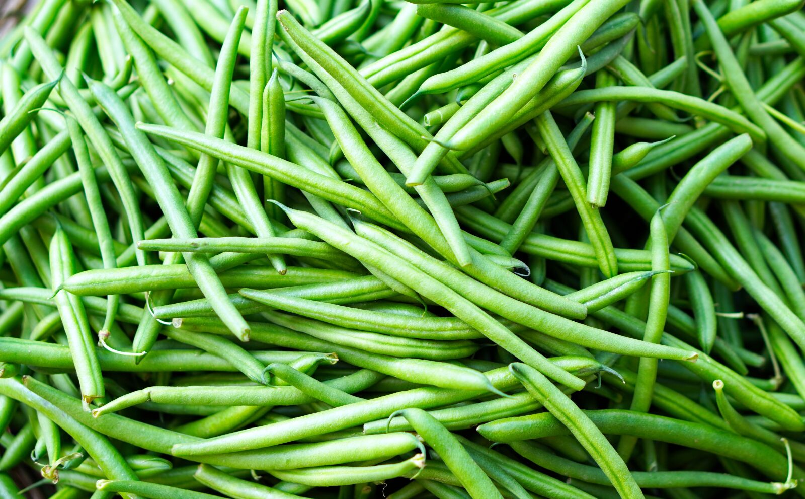 E 50mm F1.8 OSS sample photo. Beans, harvest, vegetables photography
