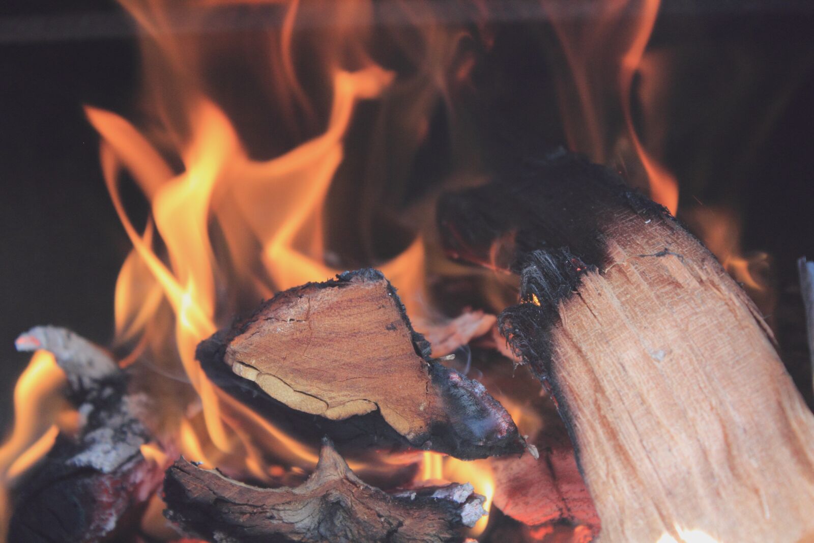 Canon EOS 600D (Rebel EOS T3i / EOS Kiss X5) sample photo. Fire, campfire, wood burning photography