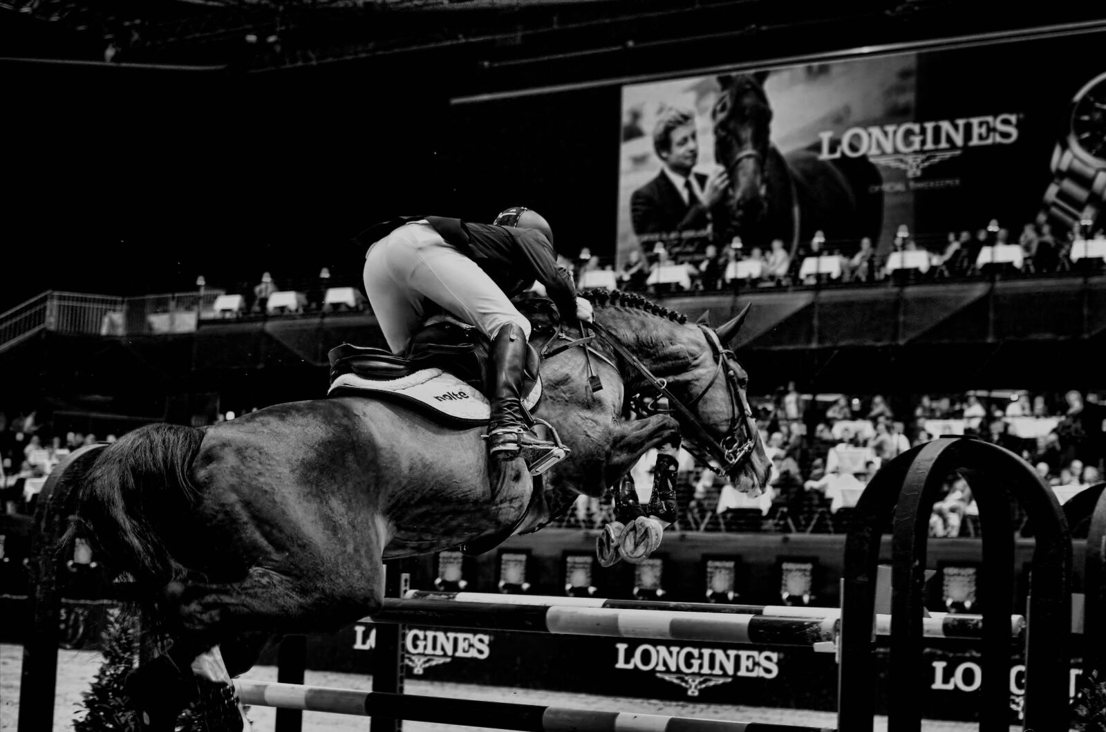 Nikon D7000 sample photo. Show, jumping, horse photography