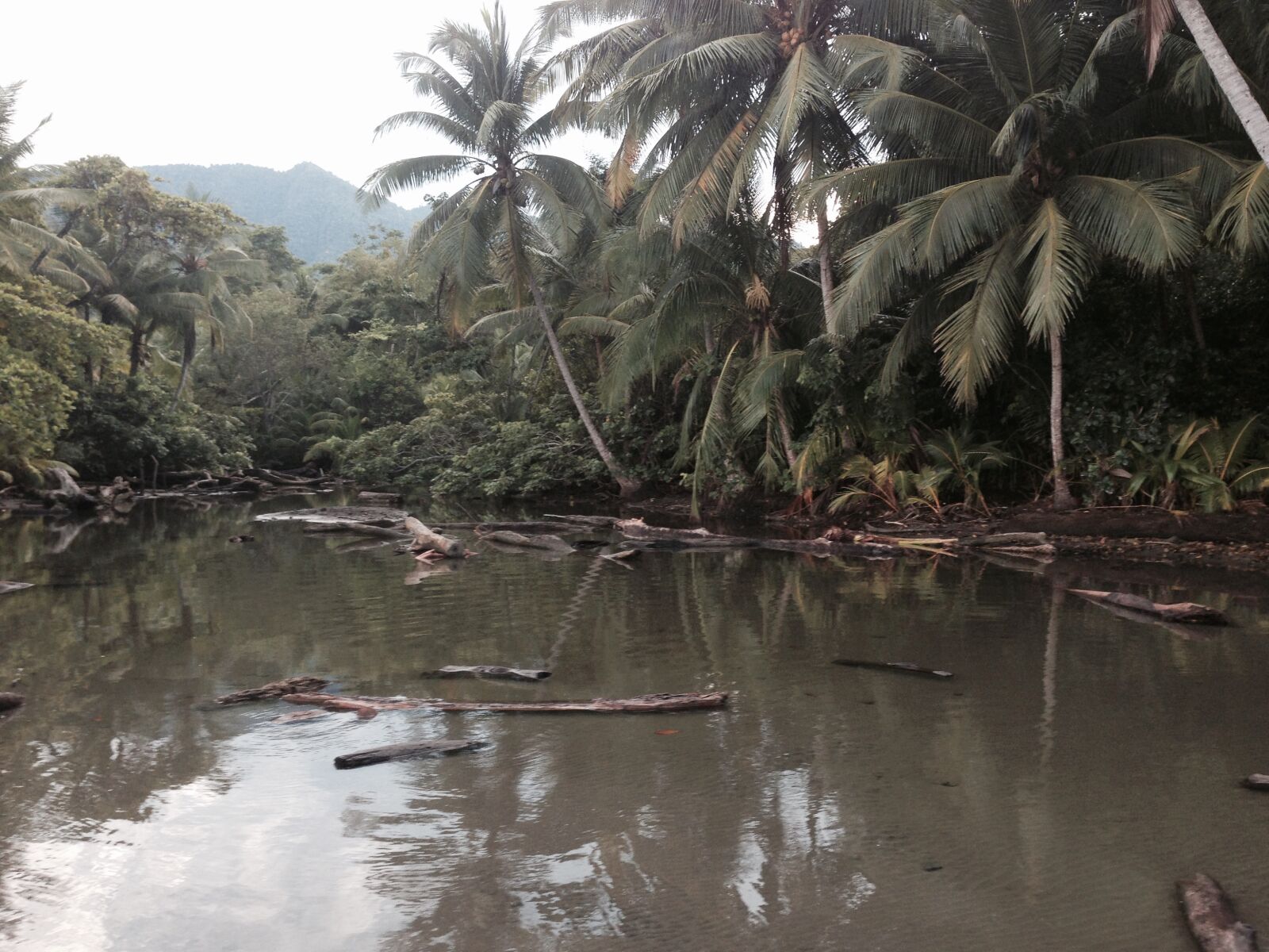 iPhone 5 back camera 4.12mm f/2.4 sample photo. Costa, rica, jungle, river photography