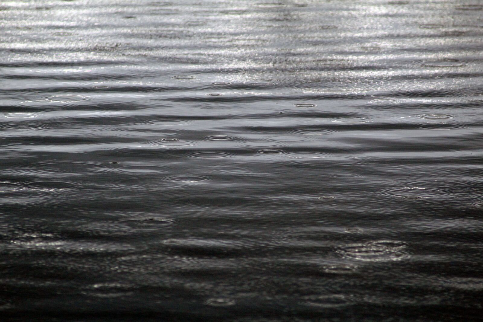 Canon EF 55-200mm F4.5-5.6 II USM sample photo. Rain, background, drop of photography