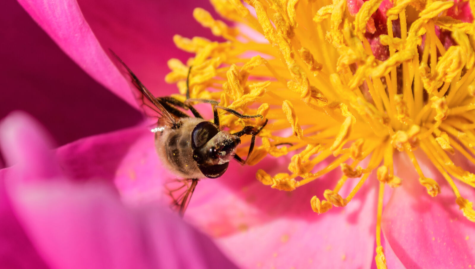 Nikon D5300 sample photo