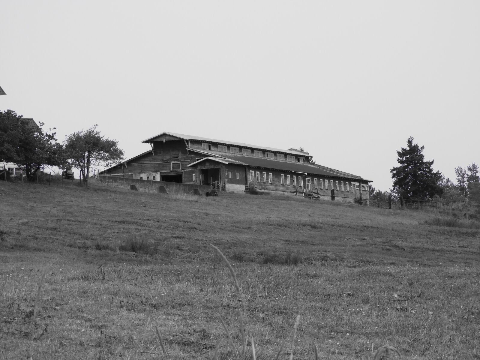 Nikon Coolpix B700 sample photo. Barn, farm, monochrome photography