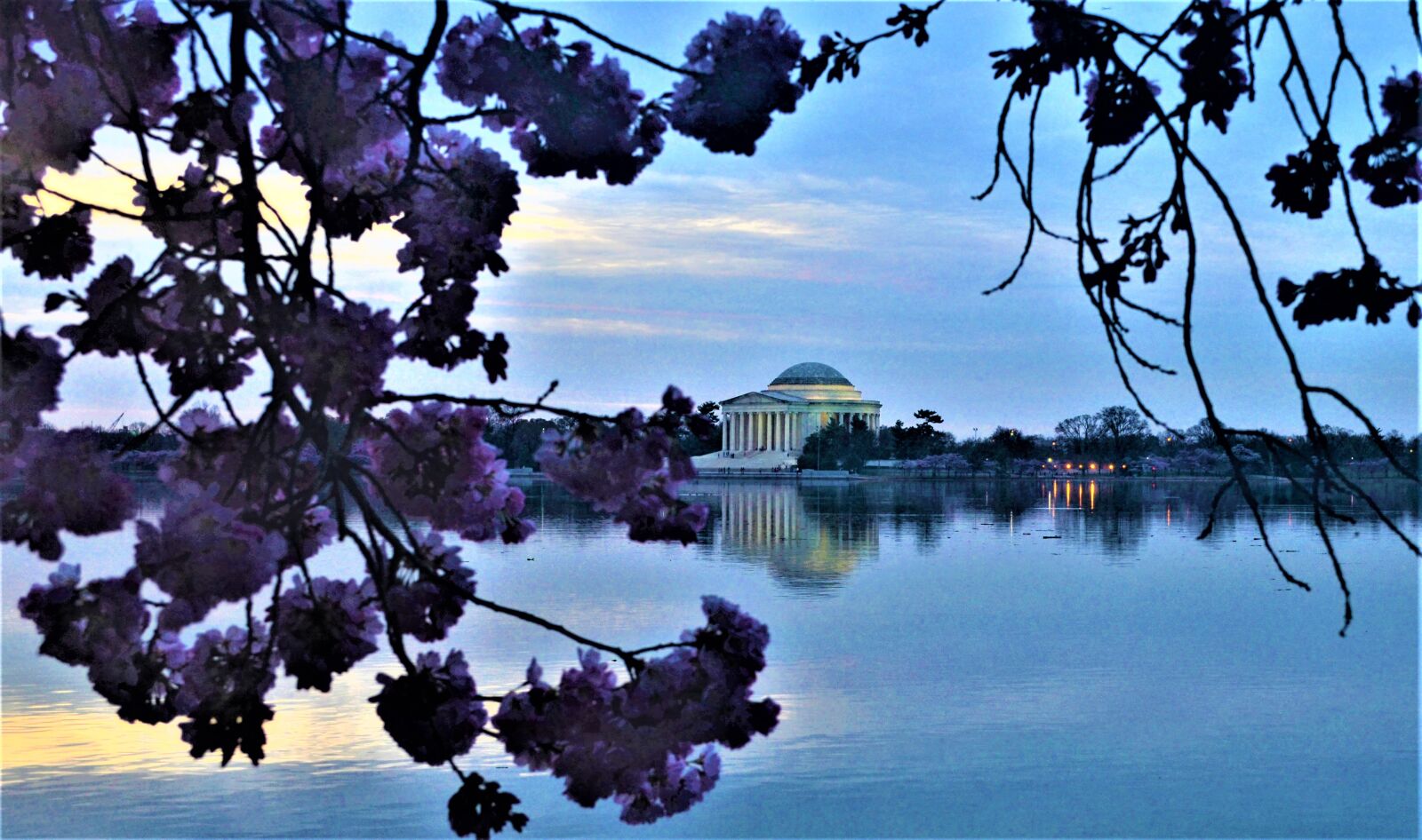 Nikon D5100 sample photo. Jefferson memorial, washington dc photography