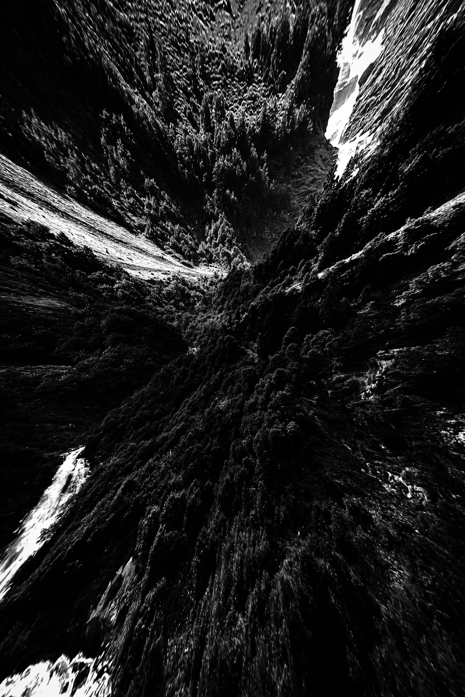 Canon EOS 750D (EOS Rebel T6i / EOS Kiss X8i) sample photo. Abstract, nature, forest photography