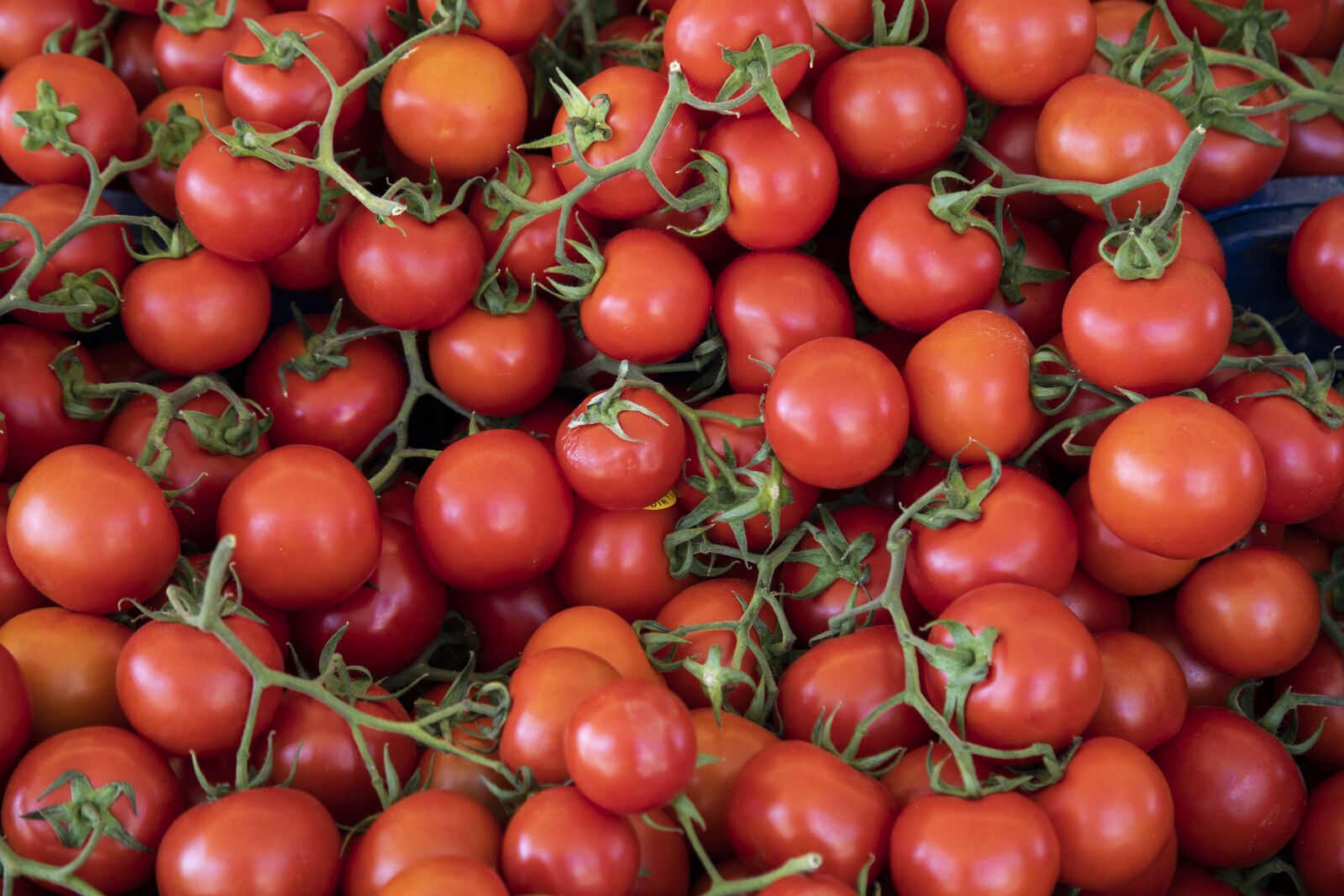 Canon EOS 5D Mark IV sample photo. Tomato, red, fruit photography