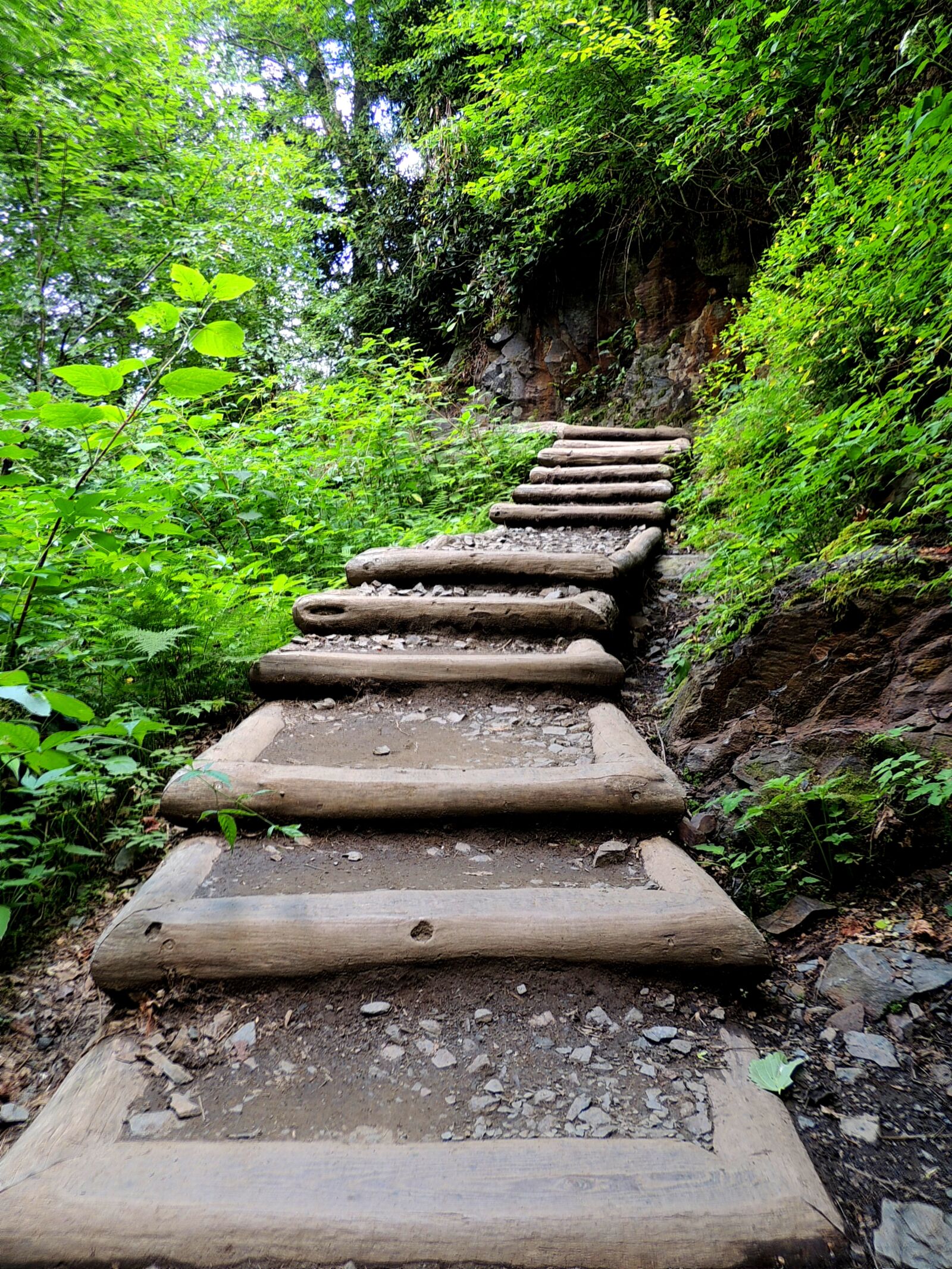 Nikon Coolpix P510 sample photo. Path, stairway, trail photography