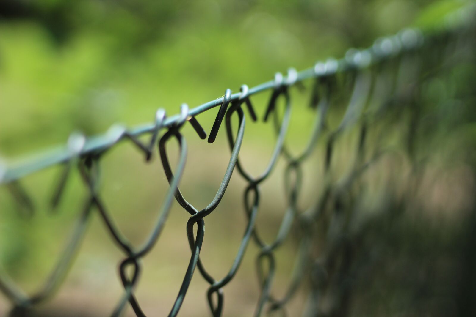 Canon EOS 1200D (EOS Rebel T5 / EOS Kiss X70 / EOS Hi) sample photo. Wire mesh fence, the photography