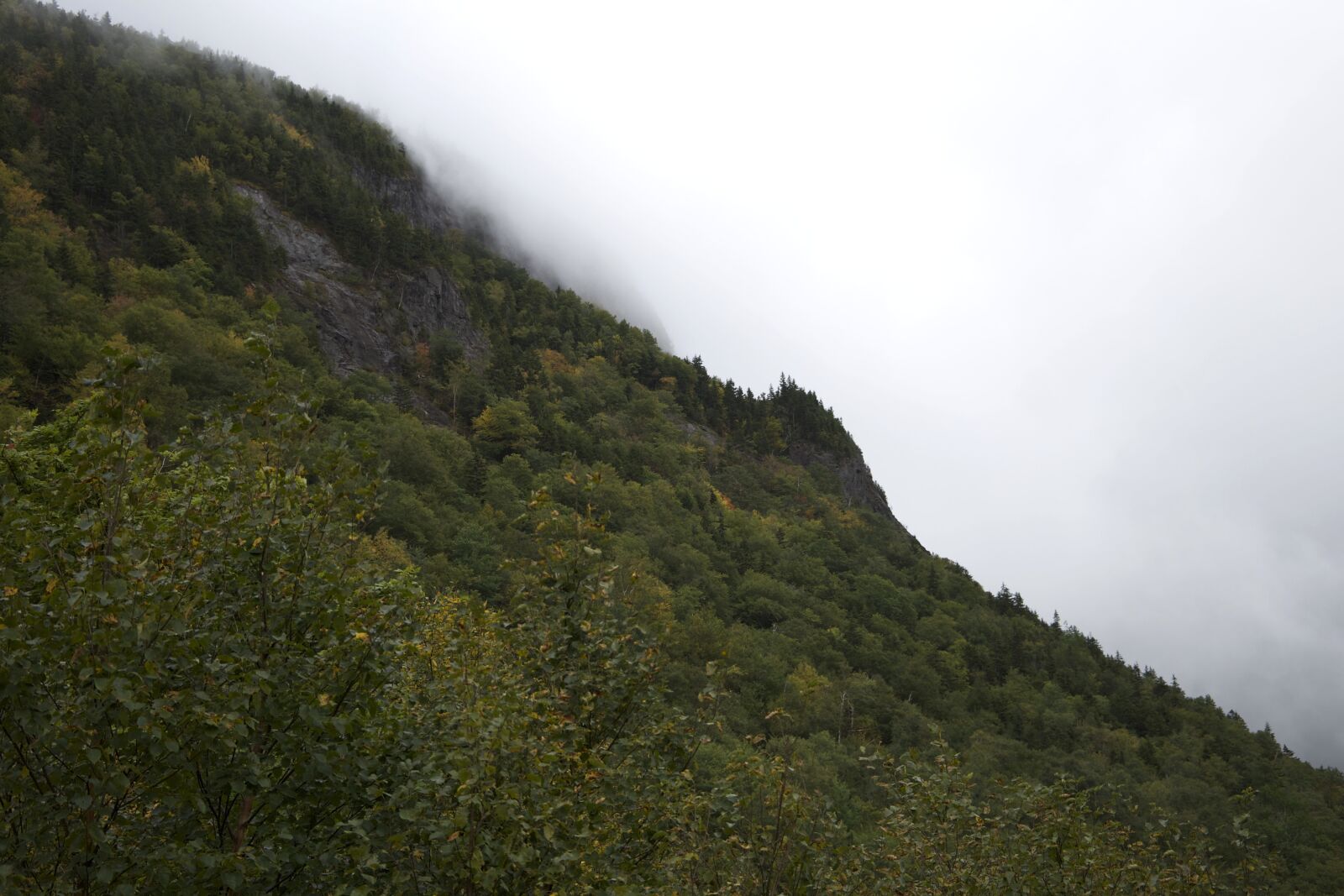 Canon EOS 6D sample photo. Hills, mountains, clouds, trees photography